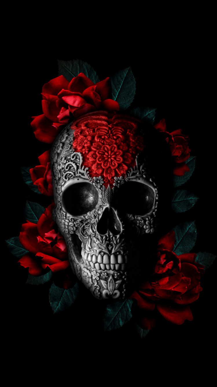 Cráneo de Arte, Hueso, Cráneo, Arte, Magenta. Wallpaper in 750x1334 Resolution