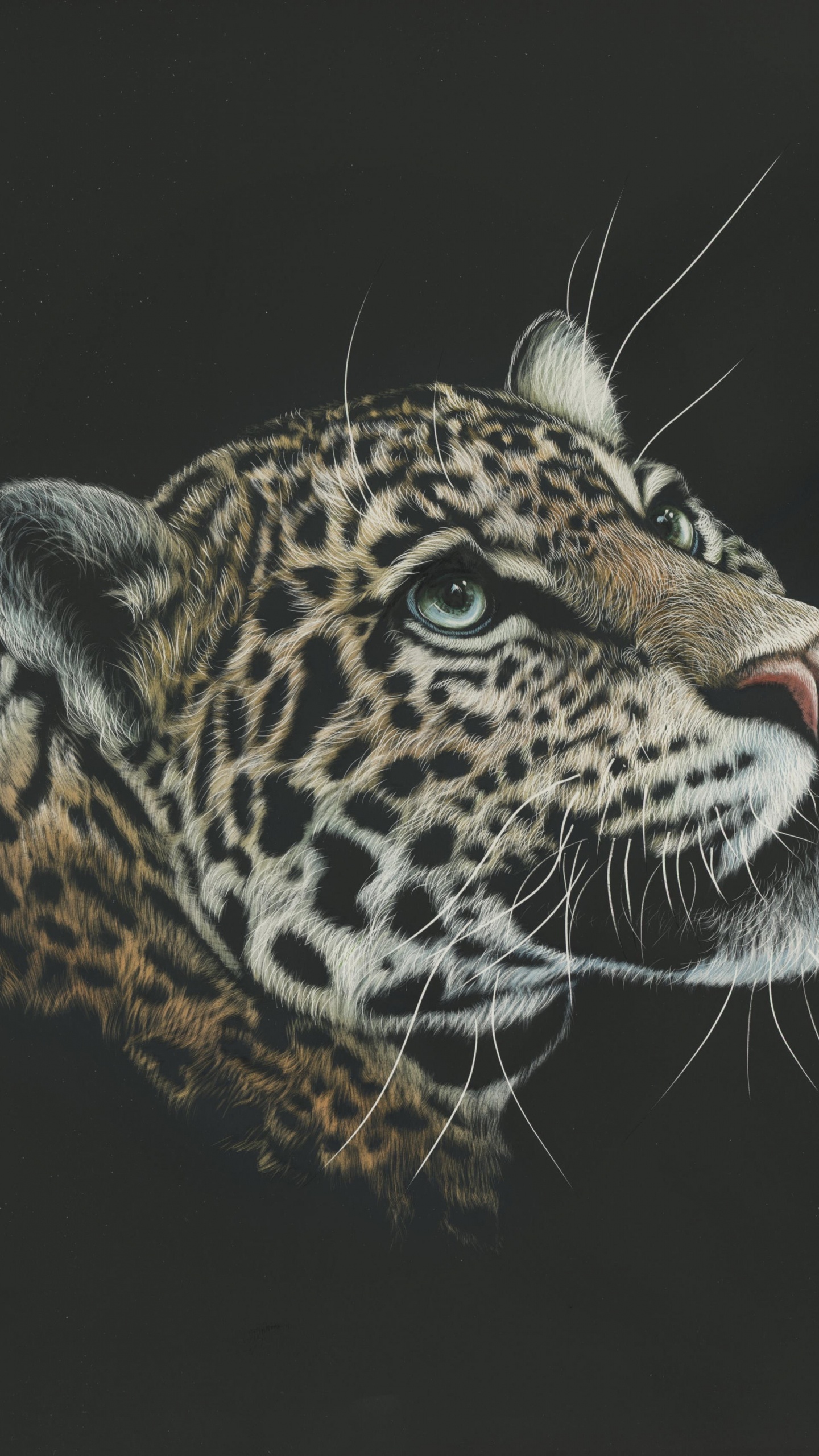 Brauner Und Schwarzer Leopard Auf Schwarzem Hintergrund. Wallpaper in 1440x2560 Resolution