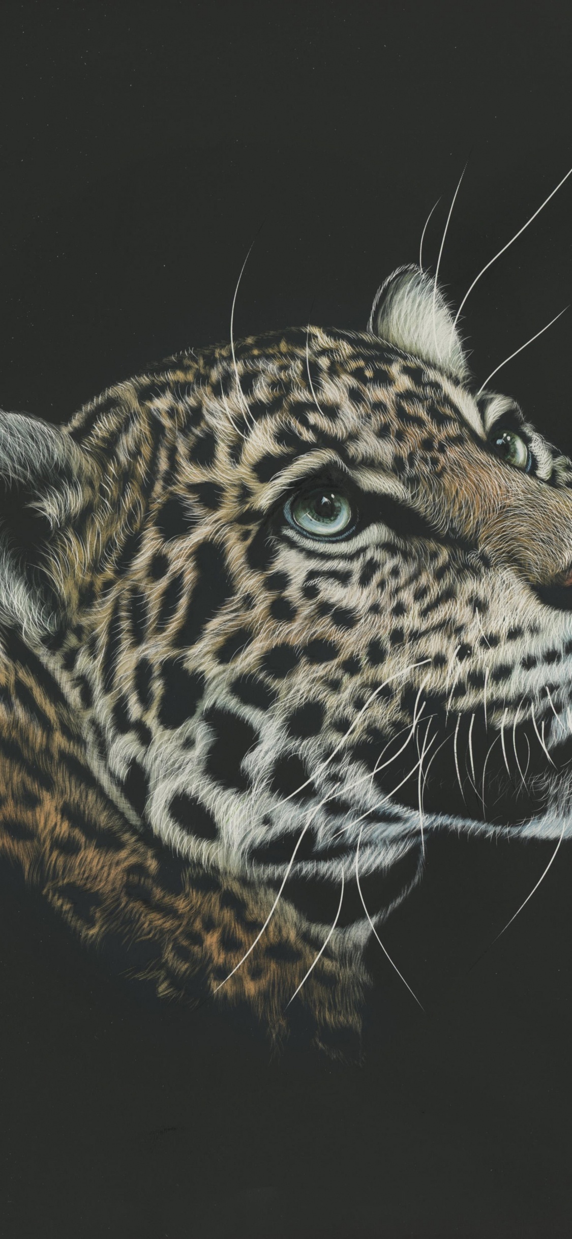 Brown and Black Leopard in Black Background. Wallpaper in 1125x2436 Resolution