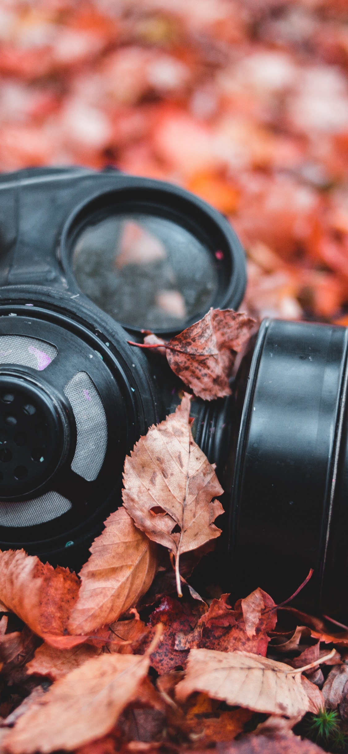 Black Camera Lens on Dried Leaves. Wallpaper in 1125x2436 Resolution