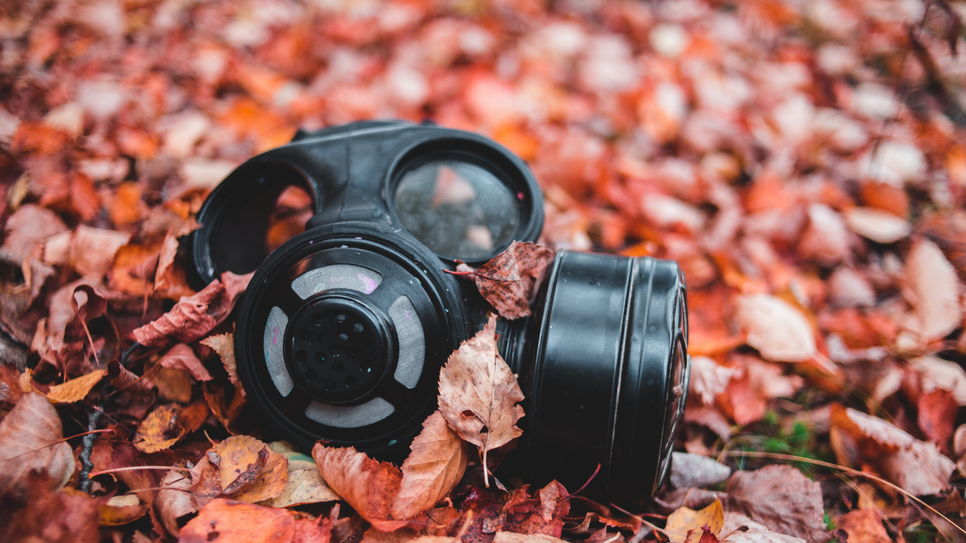 Lente de Cámara Negra Sobre Hojas Secas. Wallpaper in 1920x1080 Resolution