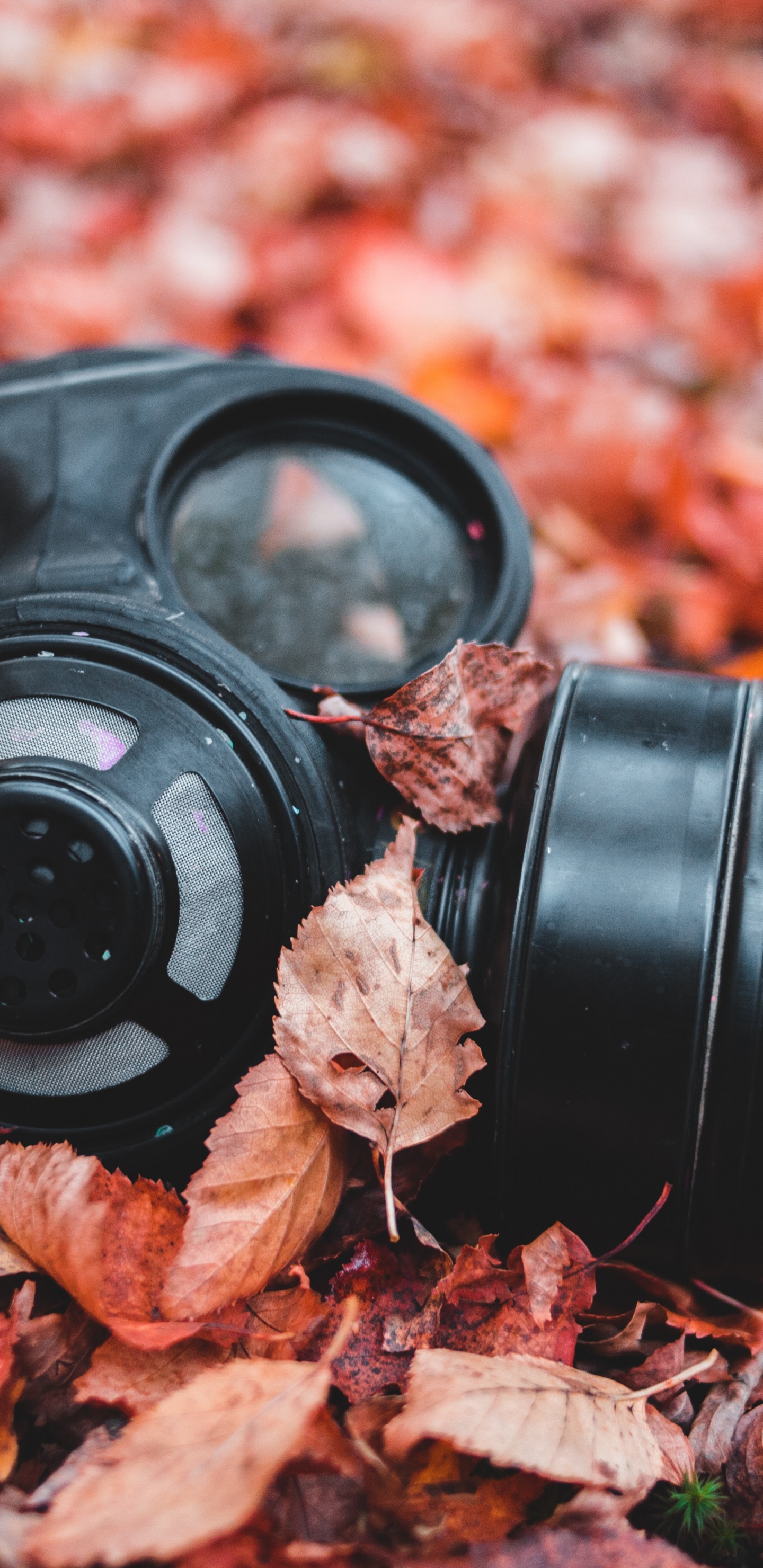 Objectif de Caméra Noir Sur Feuilles Séchées. Wallpaper in 1440x2960 Resolution