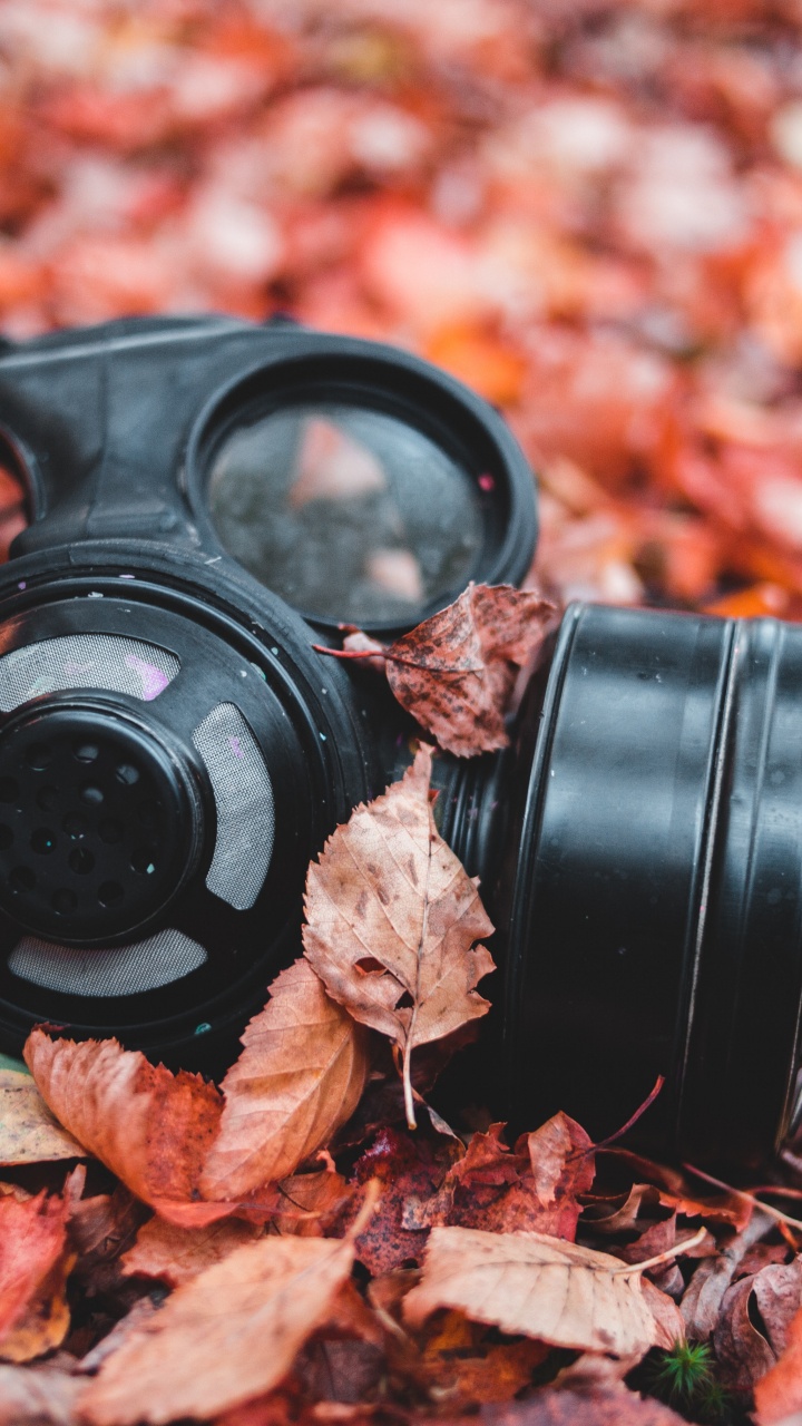 Schwarzes Kameraobjektiv Auf Getrockneten Blättern. Wallpaper in 720x1280 Resolution
