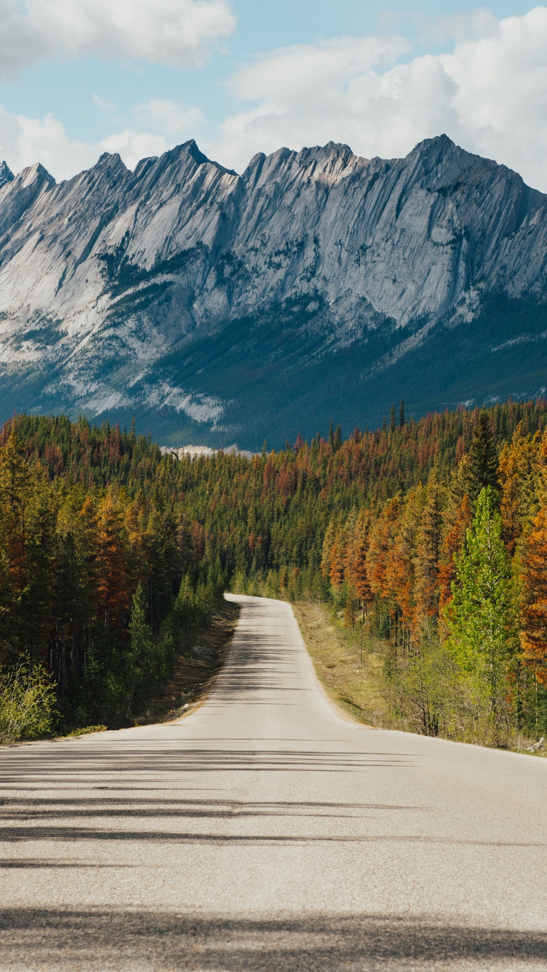 Jasper National Park Of Canada, Road, Forest Highway, Highway, Cloud. Wallpaper in 1080x1920 Resolution