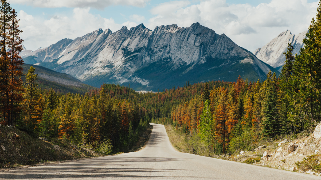 Jasper National Park Of Canada, Road, Forest Highway, Highway, Cloud. Wallpaper in 1366x768 Resolution