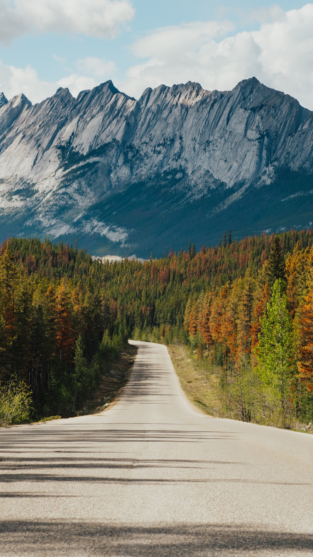 Jasper National Park Von Kanada, Road, Waldautobahn, Cloud, Ökoregion. Wallpaper in 1080x1920 Resolution