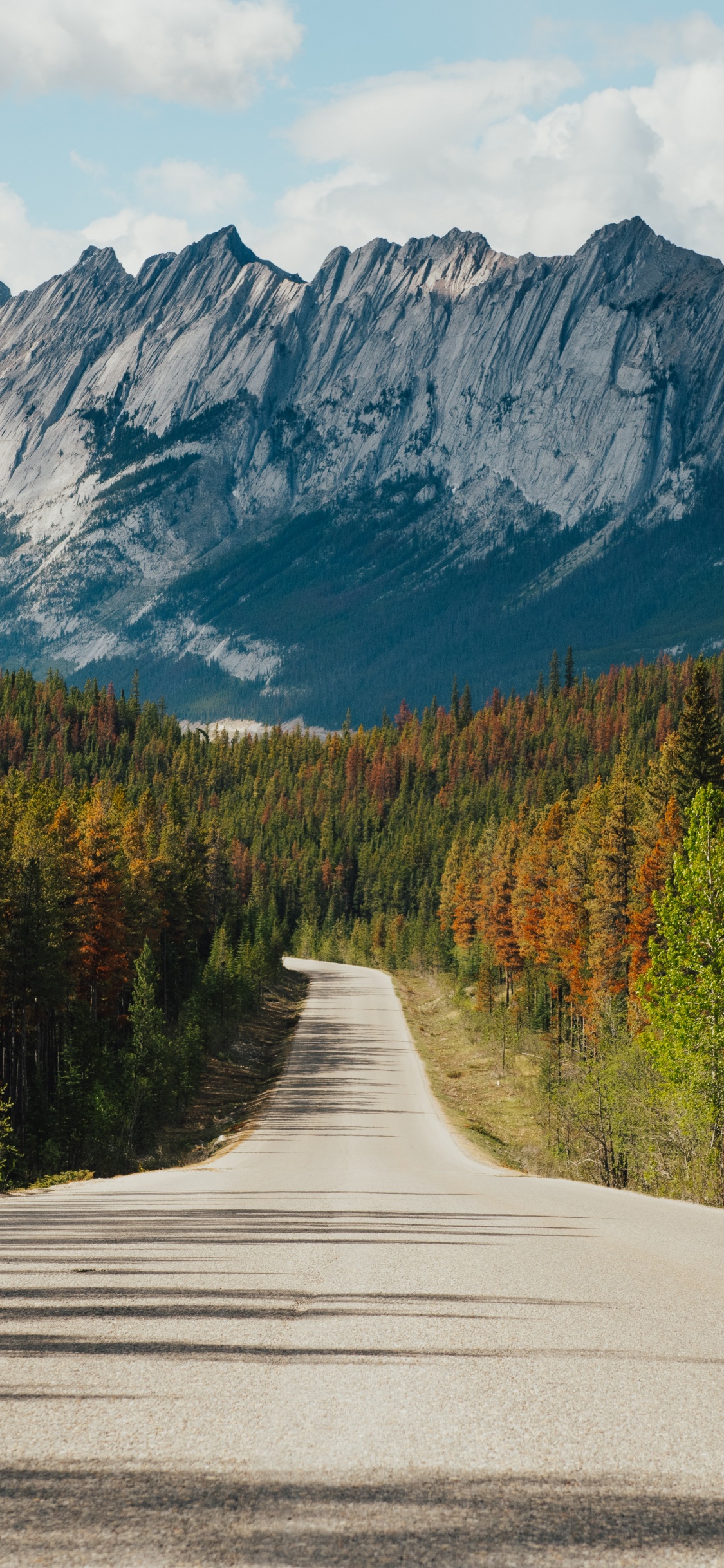 Jasper National Park Von Kanada, Road, Waldautobahn, Cloud, Ökoregion. Wallpaper in 1125x2436 Resolution