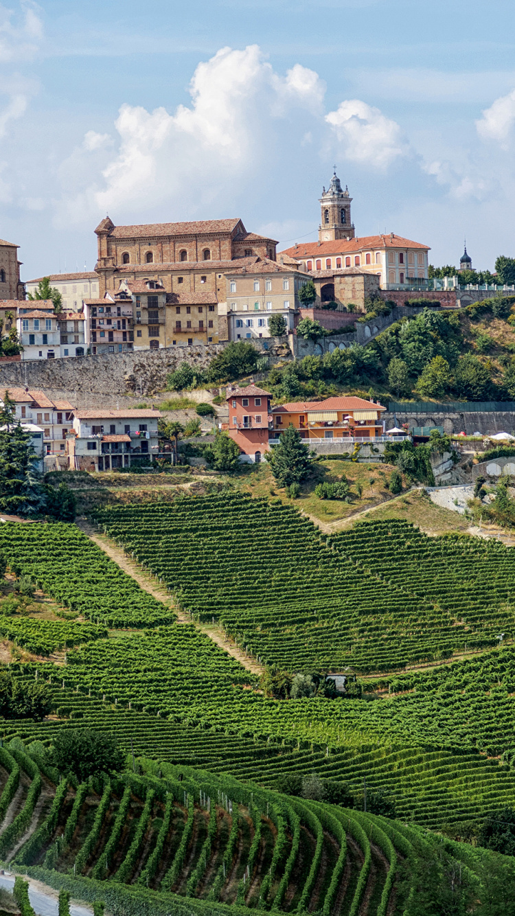 里程碑, 巴罗洛·皮埃蒙特（Barolo Piedmont）, 葡萄酒, 山站, 农村地区 壁纸 750x1334 允许