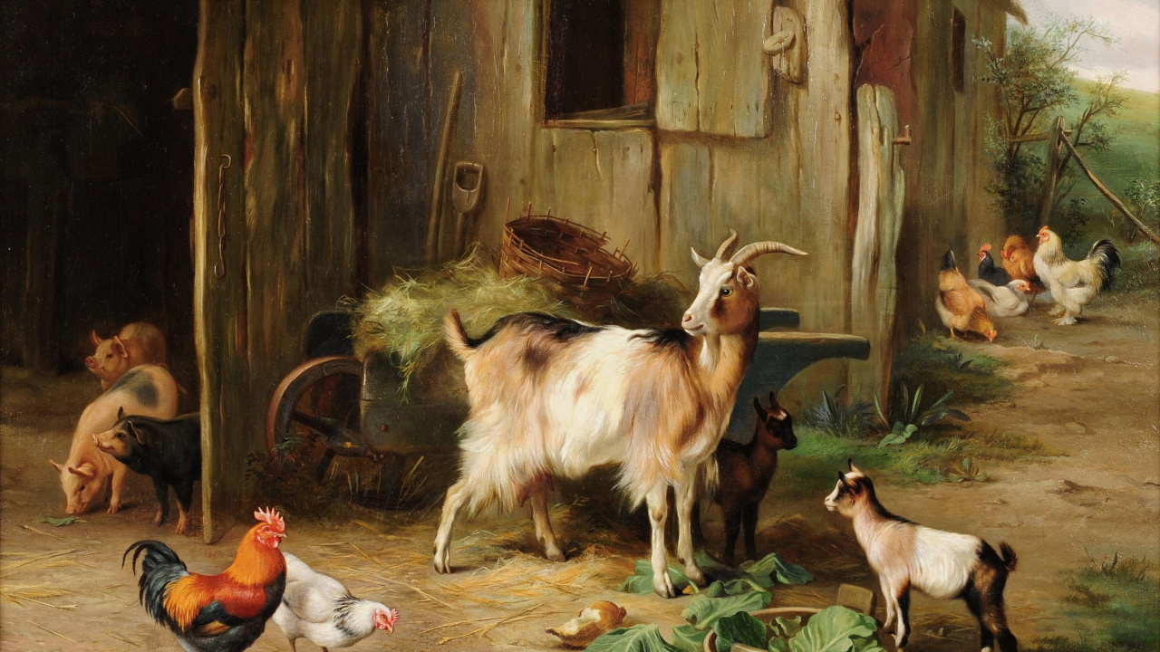 Chèvres Blanches et Brunes Sur Cage en Bois Brune. Wallpaper in 1280x720 Resolution