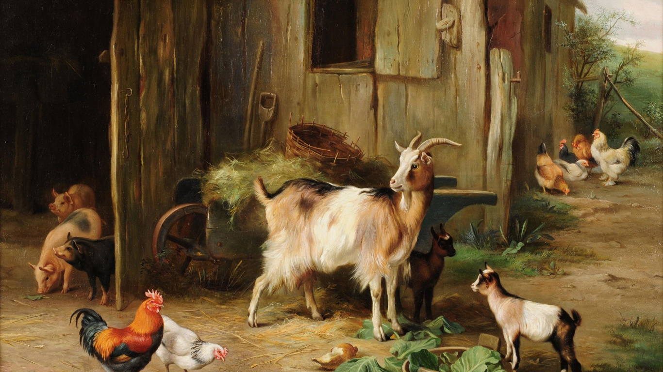 Chèvres Blanches et Brunes Sur Cage en Bois Brune. Wallpaper in 1366x768 Resolution