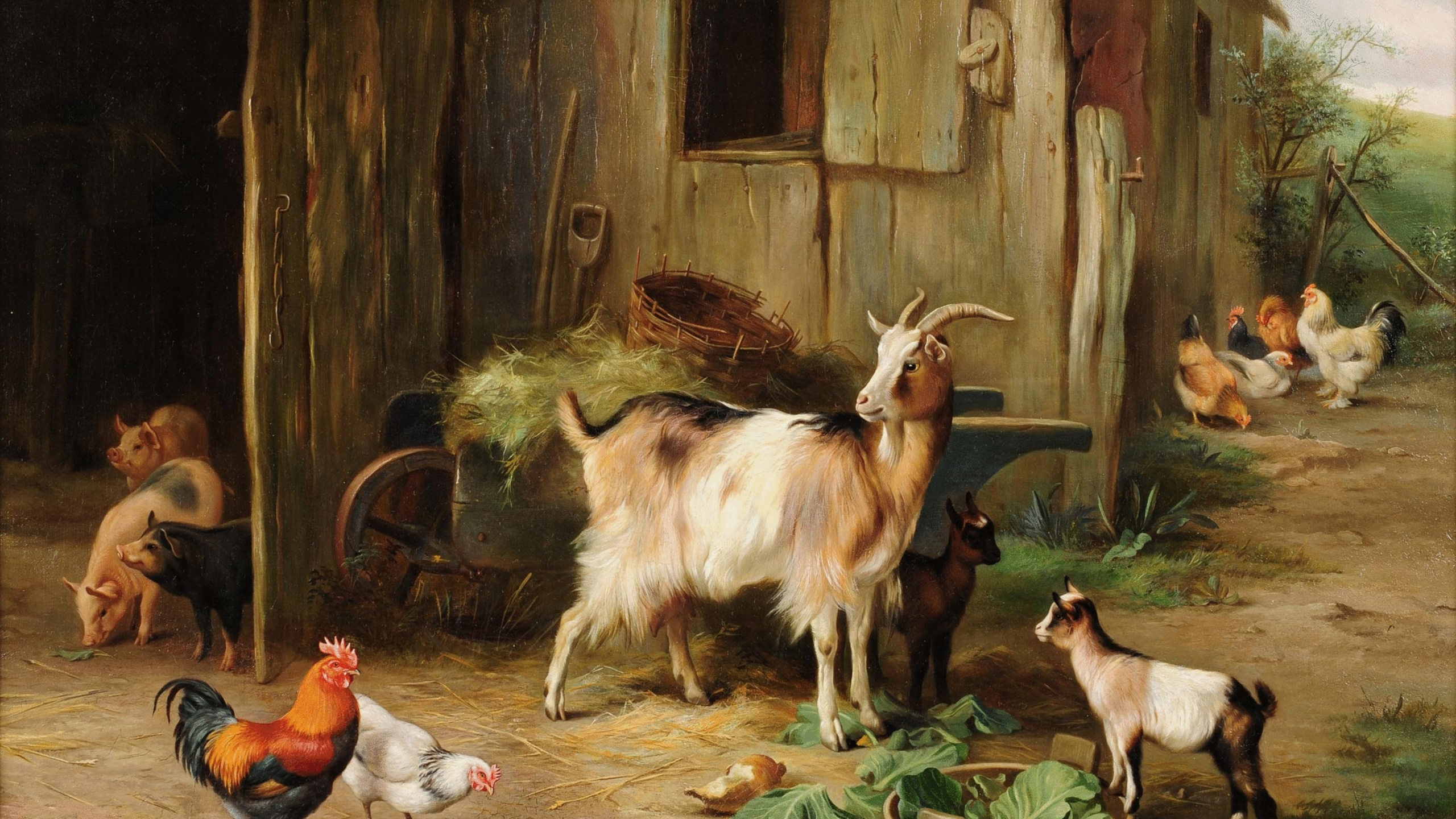 Chèvres Blanches et Brunes Sur Cage en Bois Brune. Wallpaper in 2560x1440 Resolution