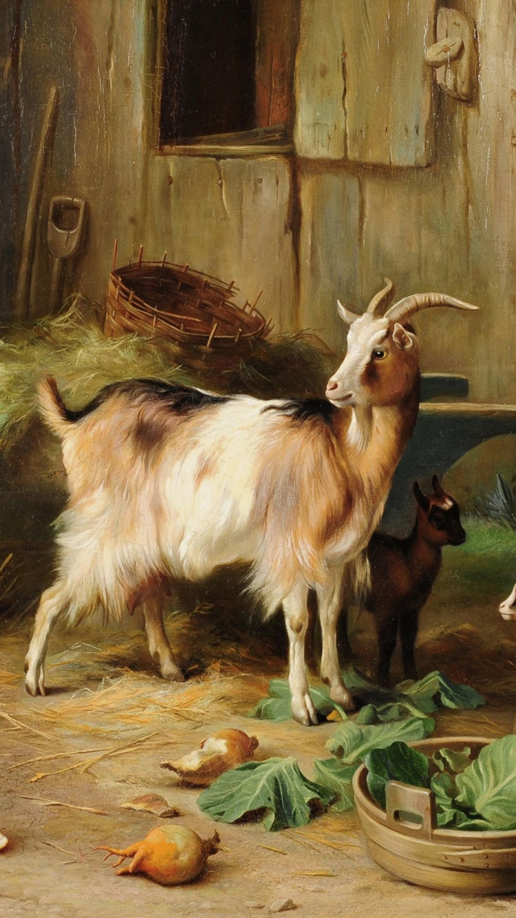 Chèvres Blanches et Brunes Sur Cage en Bois Brune. Wallpaper in 750x1334 Resolution