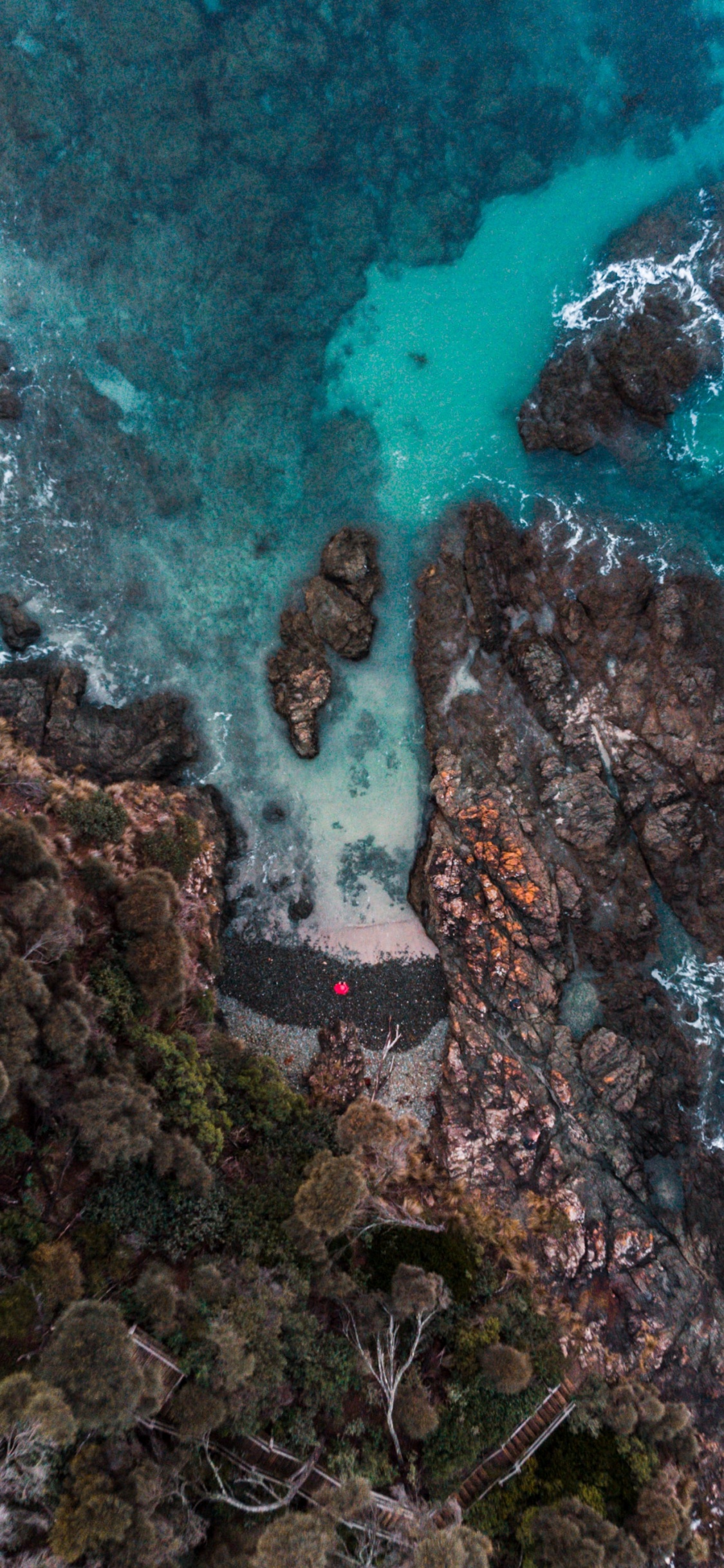 Water, Natural Environment, Fluid, Vegetation, Natural Landscape. Wallpaper in 1125x2436 Resolution