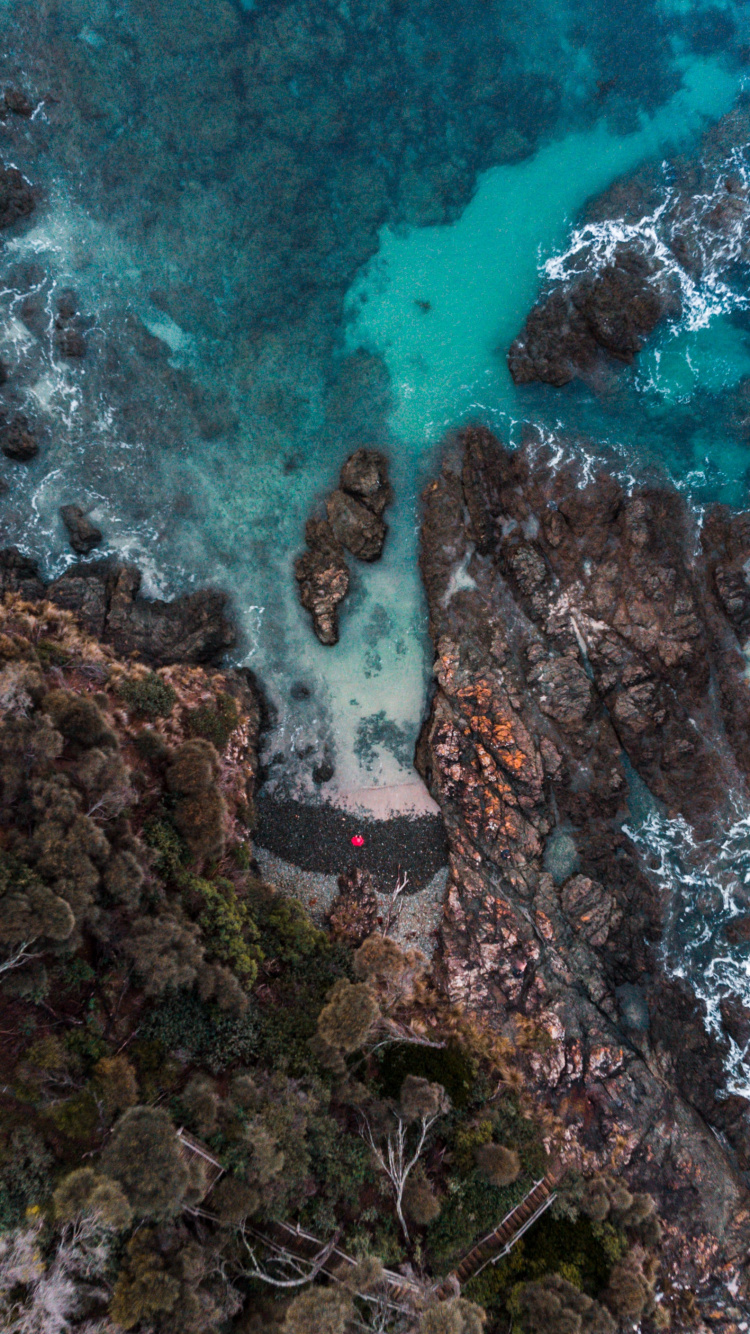 Water, Natural Environment, Fluid, Vegetation, Natural Landscape. Wallpaper in 750x1334 Resolution