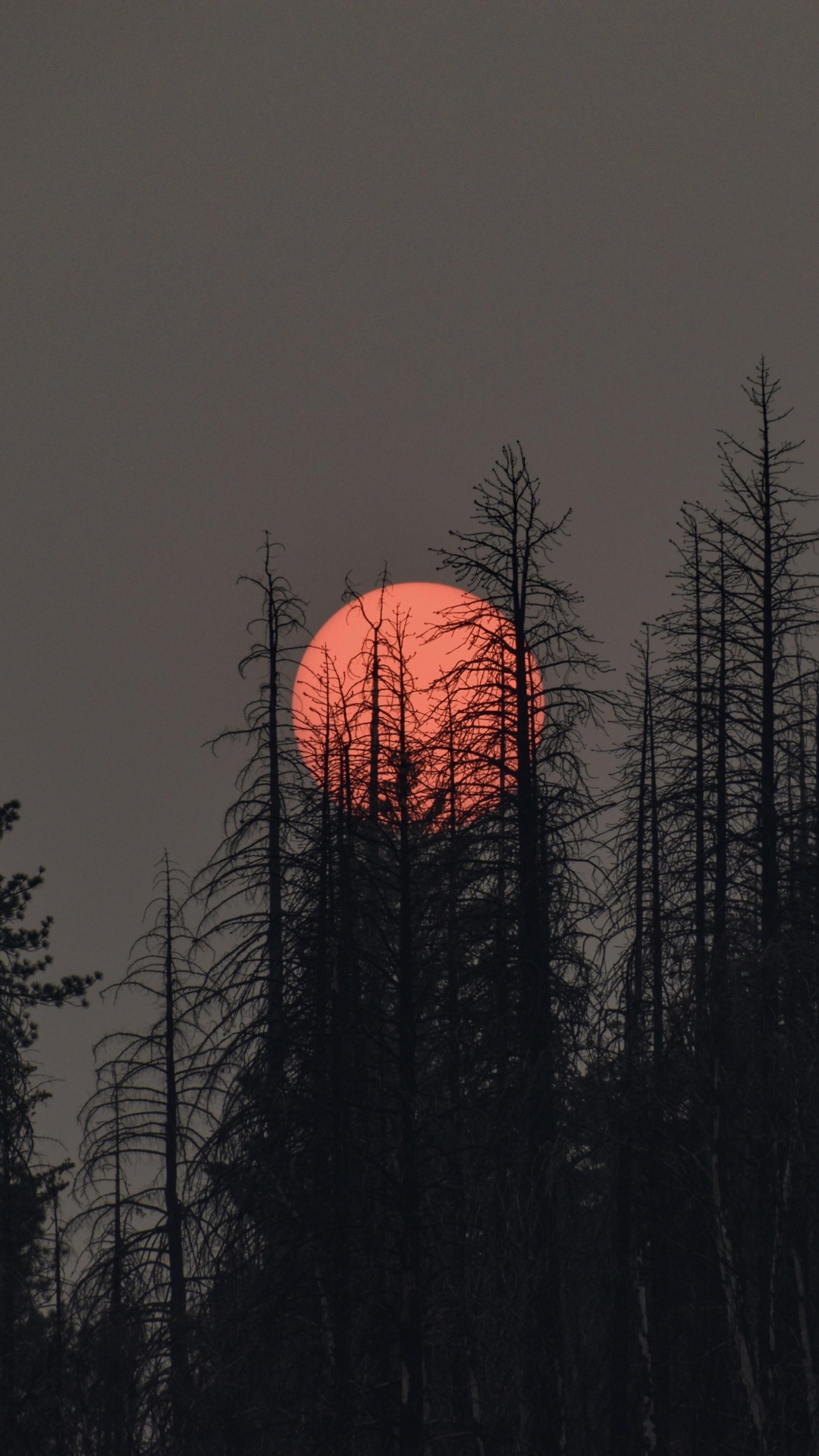 Atmosphère, L'écorégion, Afterglow, Paysage Naturel. Wallpaper in 1080x1920 Resolution