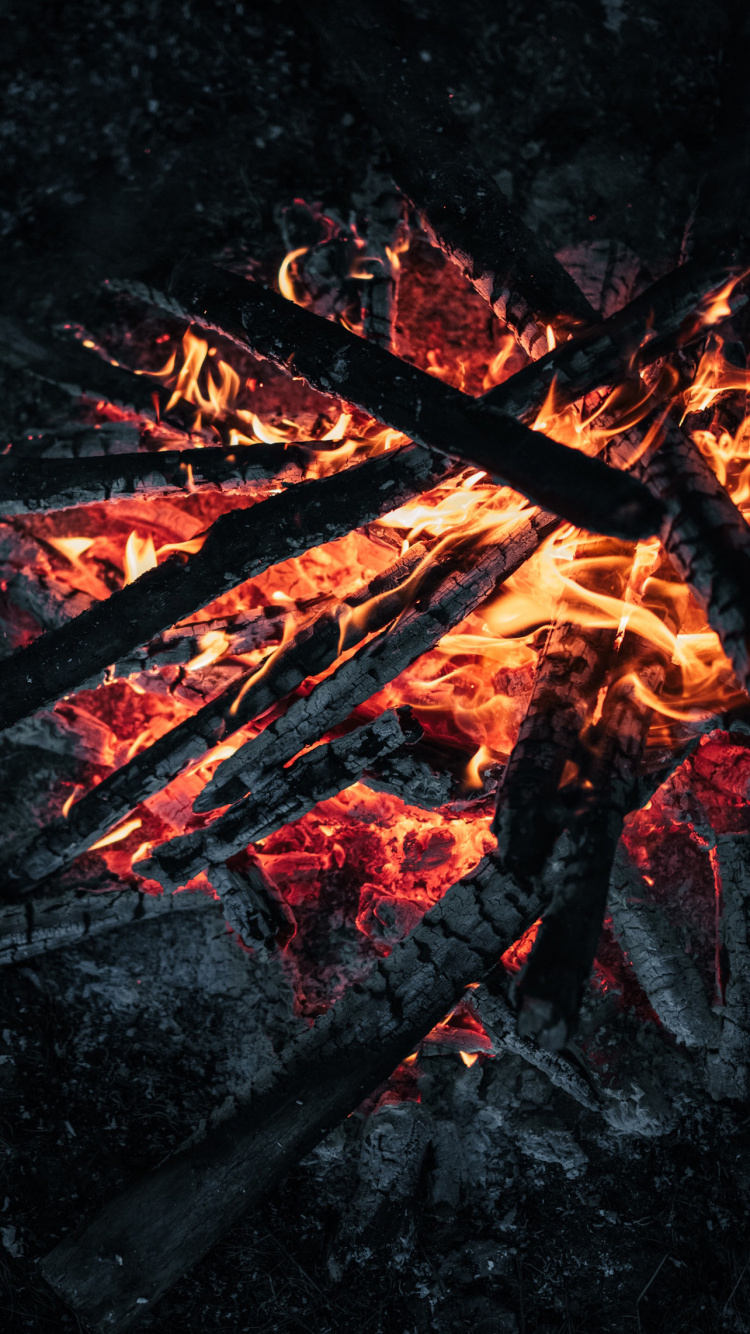 Feu de Camp, Bois, Cendres, Feu, Flamme. Wallpaper in 750x1334 Resolution