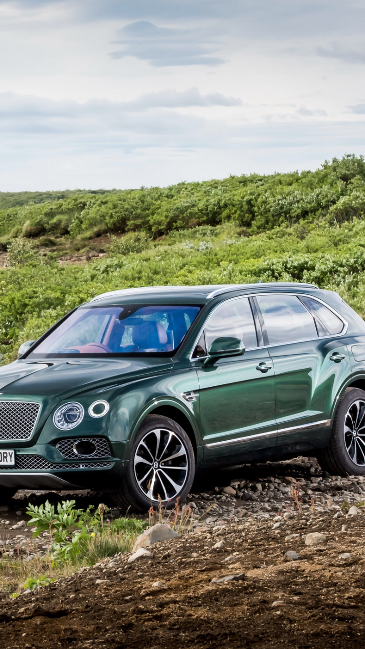 Blue Mercedes Benz Coupe on Brown Rocky Shore During Daytime. Wallpaper in 750x1334 Resolution