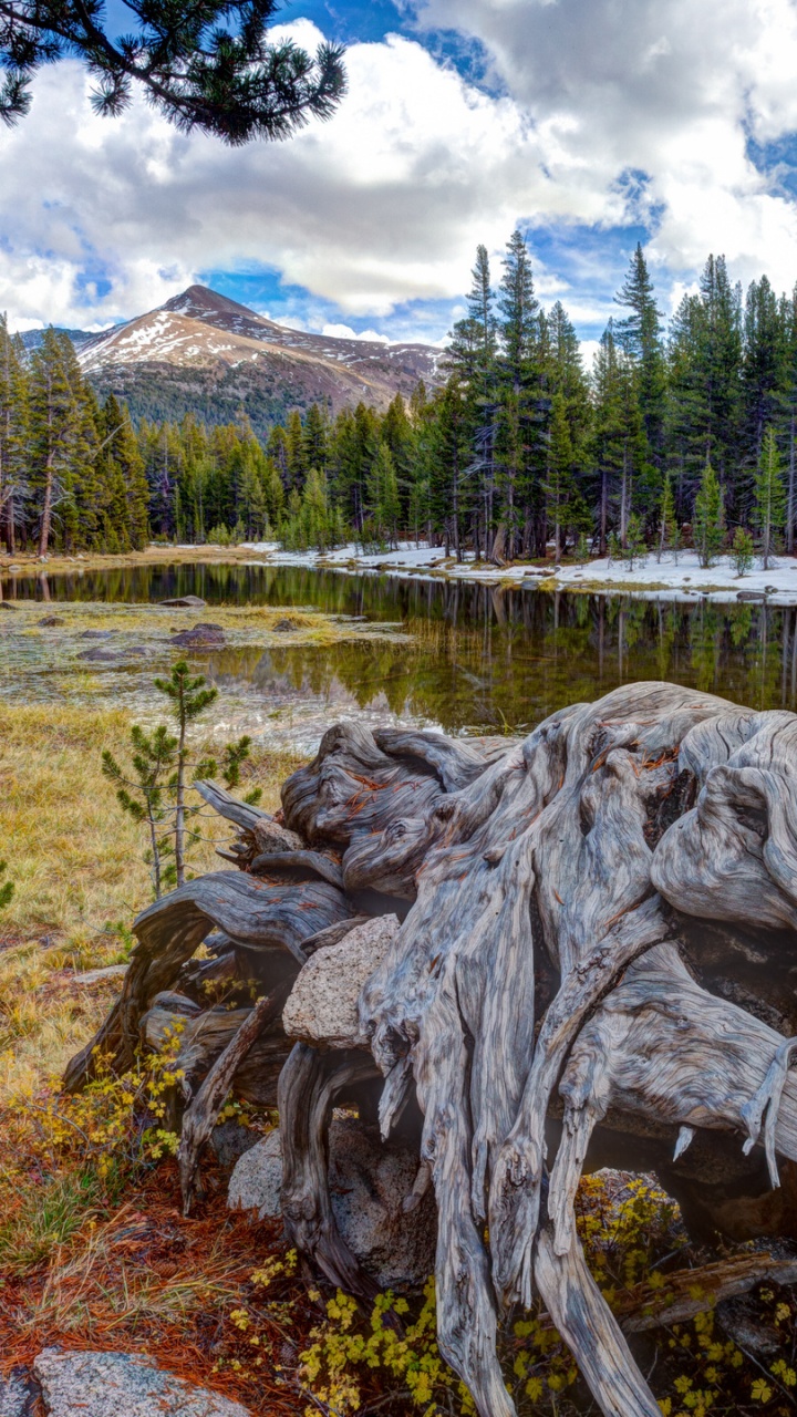 Gray and Black Rocks on Green Grass Field Near Green Trees and Mountains Under White Clouds. Wallpaper in 720x1280 Resolution