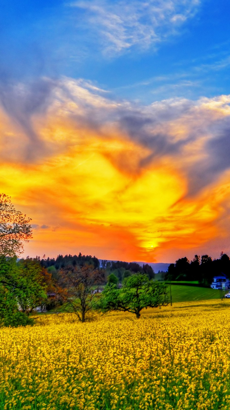 Green Grass Field Under Cloudy Sky During Daytime. Wallpaper in 750x1334 Resolution