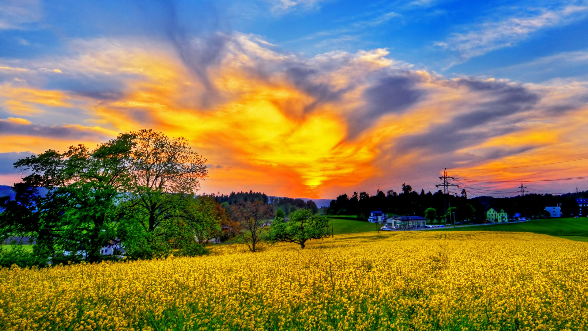 Tagsüber Grüne Wiese Unter Bewölktem Himmel. Wallpaper in 1920x1080 Resolution
