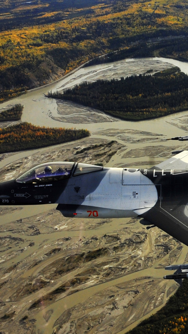 Avion de Chasse Gris Survolant Les Montagnes Pendant la Journée. Wallpaper in 750x1334 Resolution