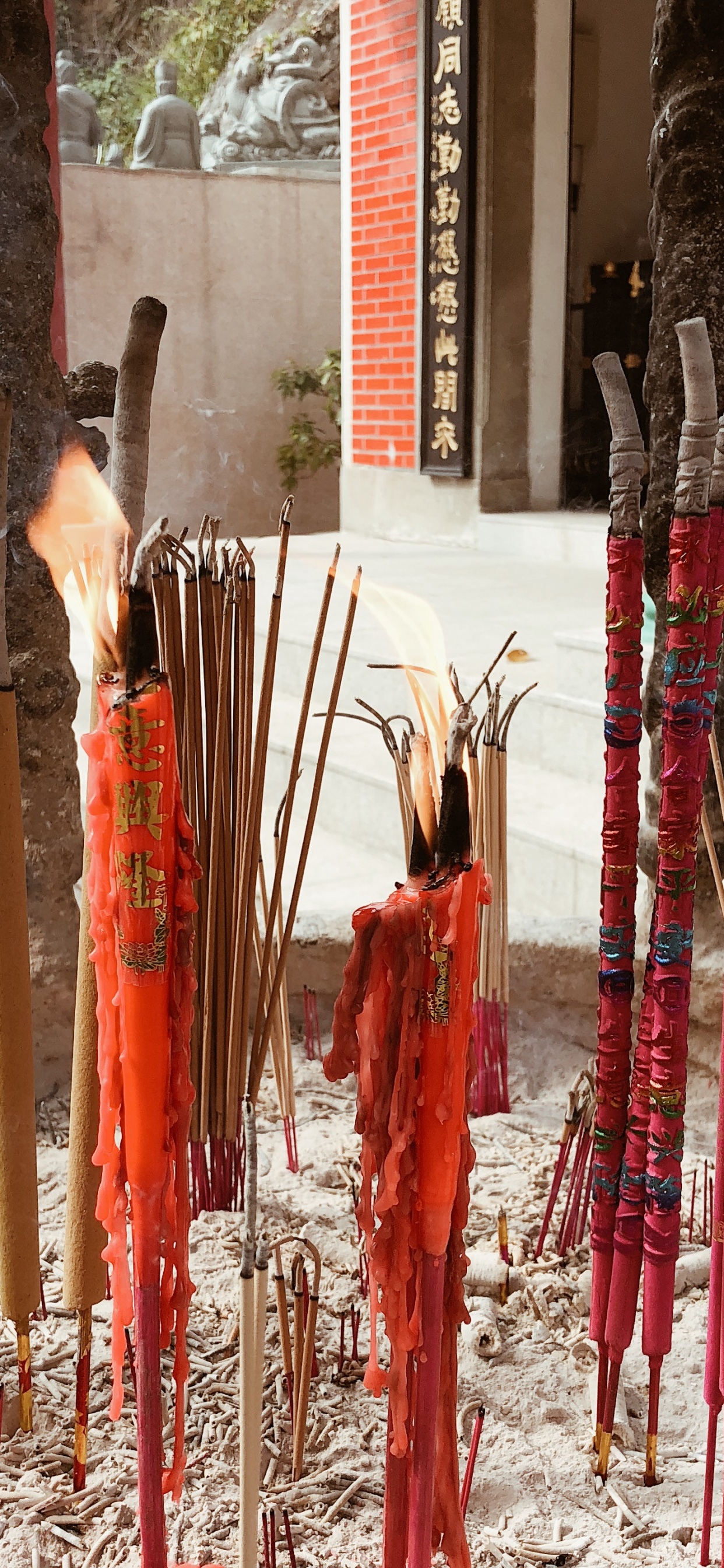 Templo, Tradición. Wallpaper in 1242x2688 Resolution