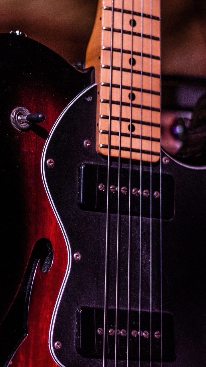 Bass, Gitarre, Zeichenfolge, Kontrabass, Gezupfte Saiteninstrumente. Wallpaper in 720x1280 Resolution