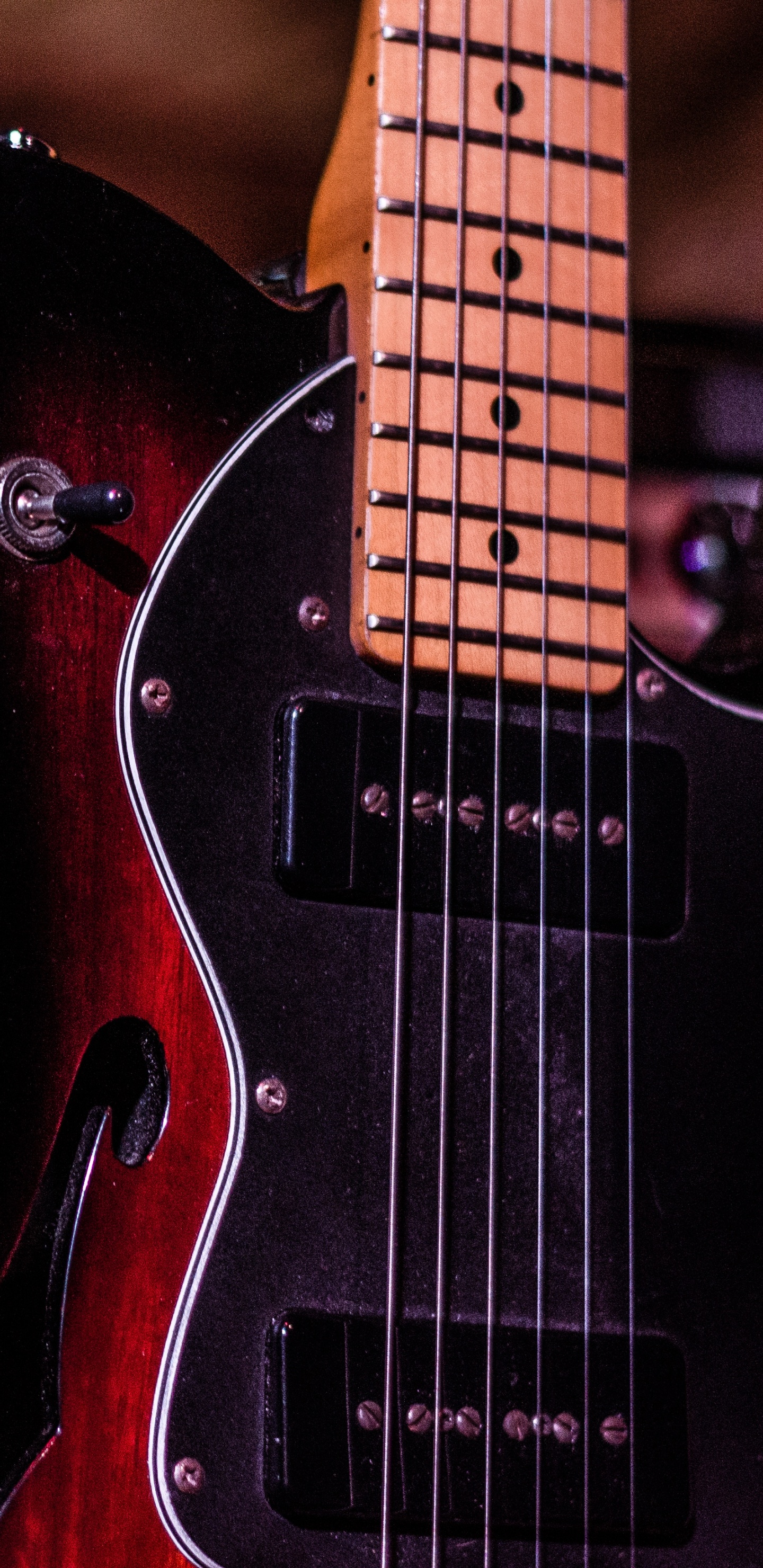 Bass Guitar, Guitarra, Guitarra Eléctrica, Instrumento de Cuerda, Lubina. Wallpaper in 1440x2960 Resolution