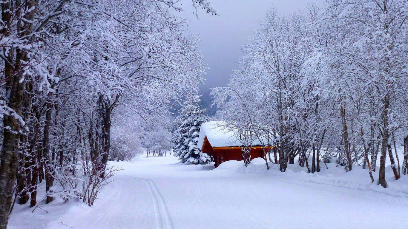 Braune Holzbank Auf Schneebedecktem Boden Tagsüber. Wallpaper in 1366x768 Resolution