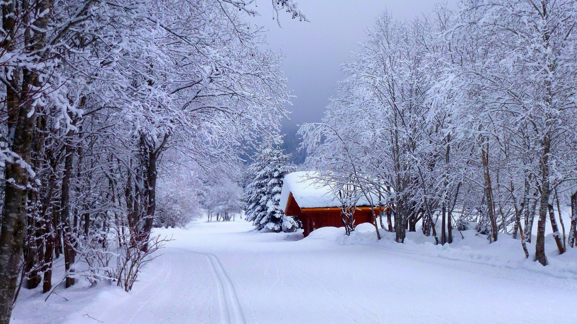 Banc en Bois Brun Sur Sol Couvert de Neige Pendant la Journée. Wallpaper in 1920x1080 Resolution
