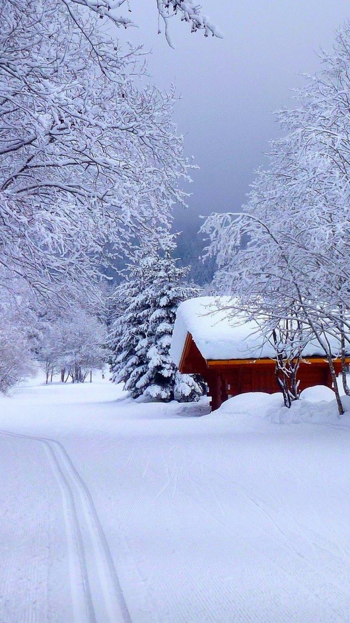 Banc en Bois Brun Sur Sol Couvert de Neige Pendant la Journée. Wallpaper in 720x1280 Resolution
