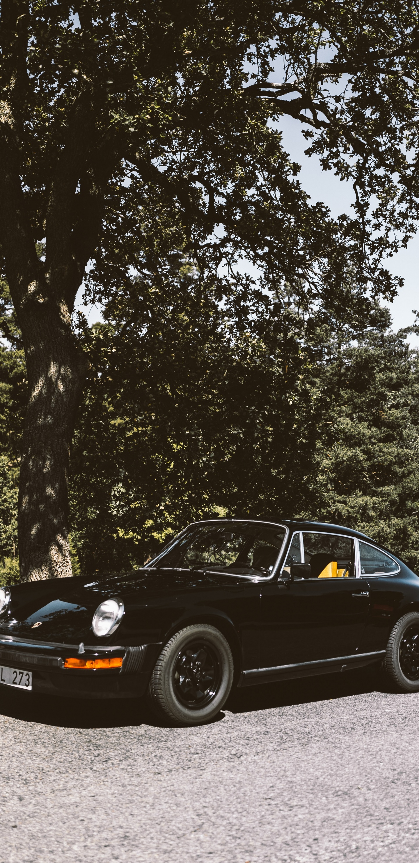 Schwarzer Porsche 911 Geparkt Auf Grüner Wiese in Der Nähe Von Grünen Bäumen Tagsüber. Wallpaper in 1440x2960 Resolution