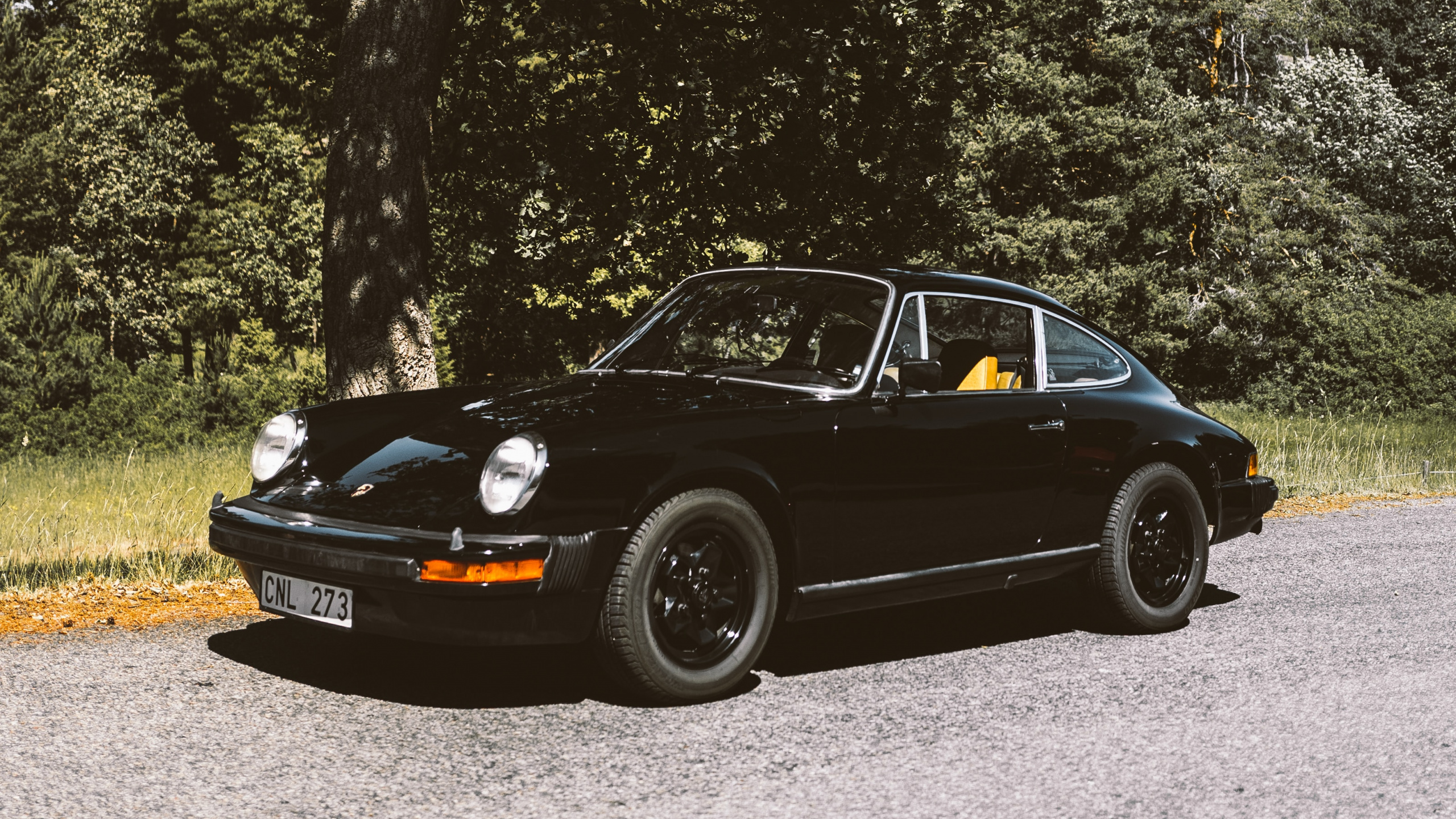 Porsche 911 Negro Estacionado en el Campo de Hierba Verde Cerca de Árboles Verdes Durante el Día. Wallpaper in 2560x1440 Resolution