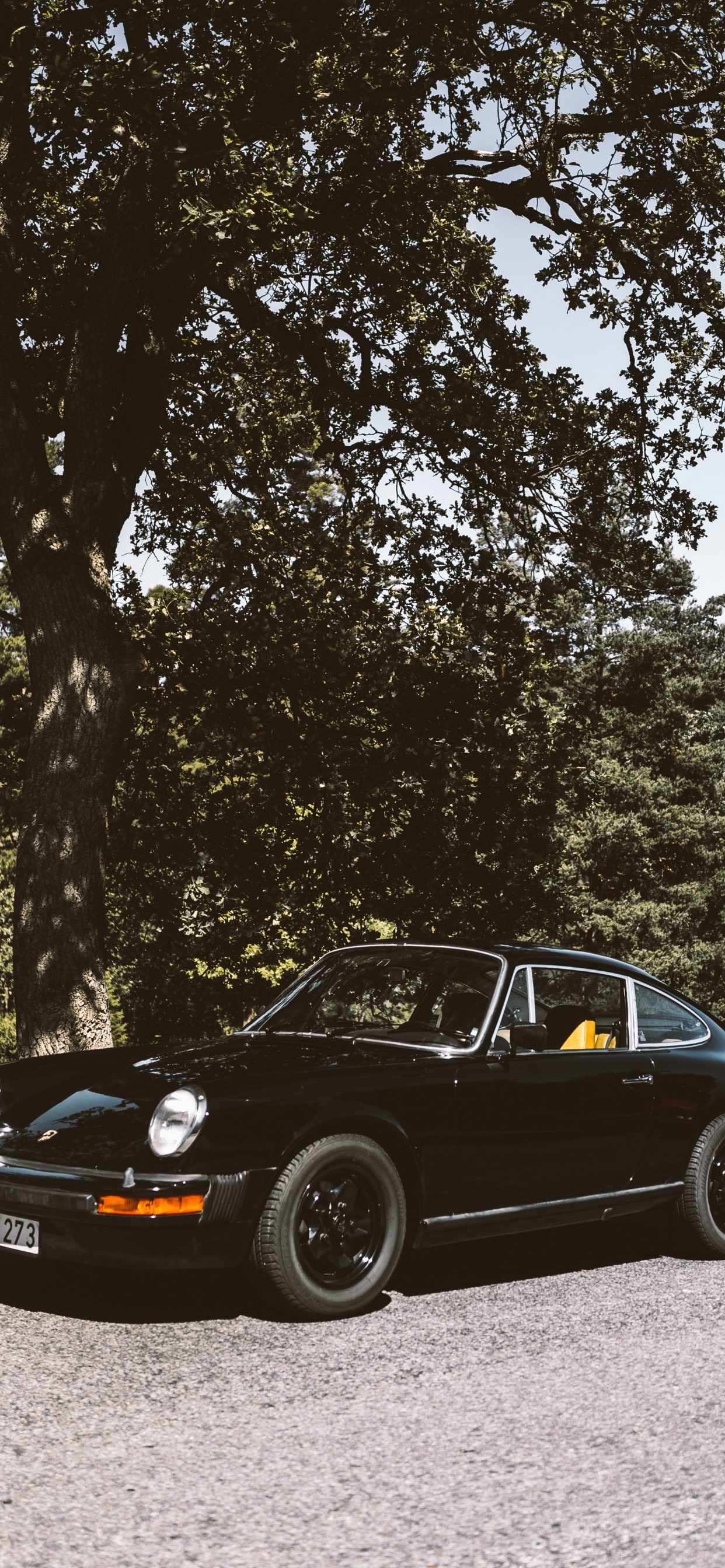 Porsche 911 Noire Garée Sur un Terrain D'herbe Verte Près D'arbres Verts Pendant la Journée. Wallpaper in 1242x2688 Resolution