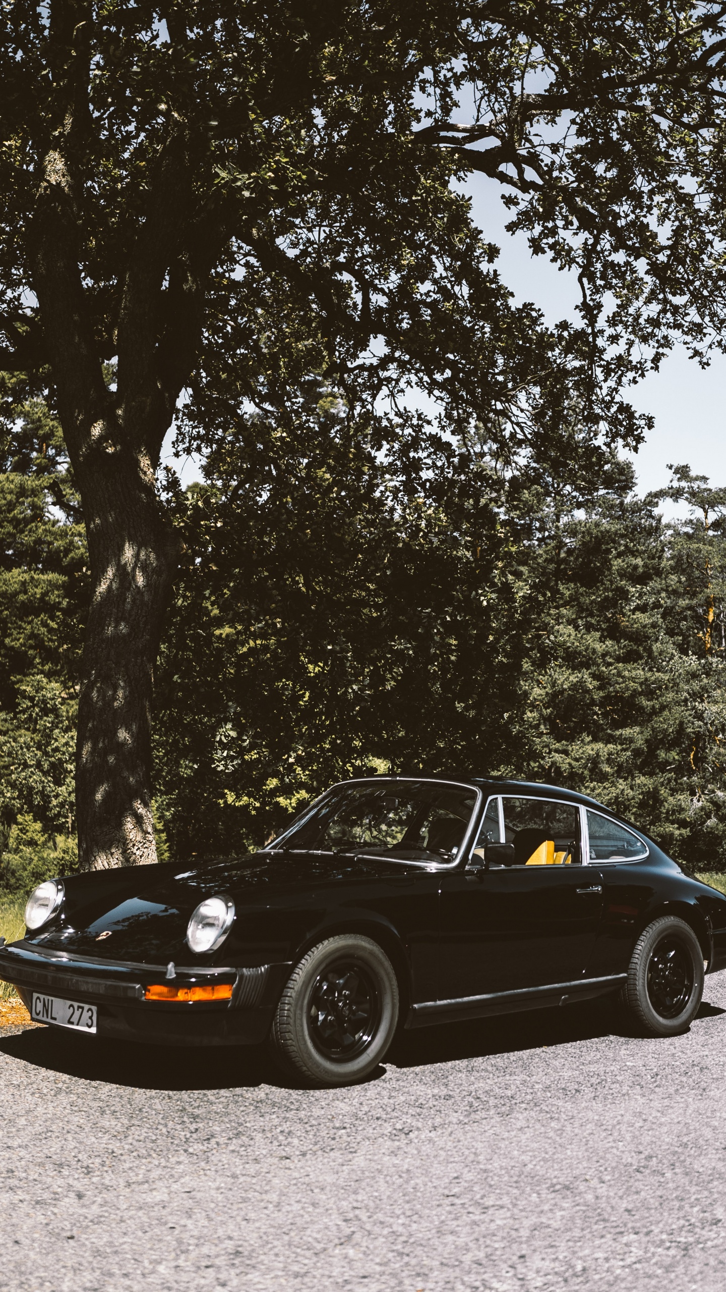 Porsche 911 Noire Garée Sur un Terrain D'herbe Verte Près D'arbres Verts Pendant la Journée. Wallpaper in 1440x2560 Resolution