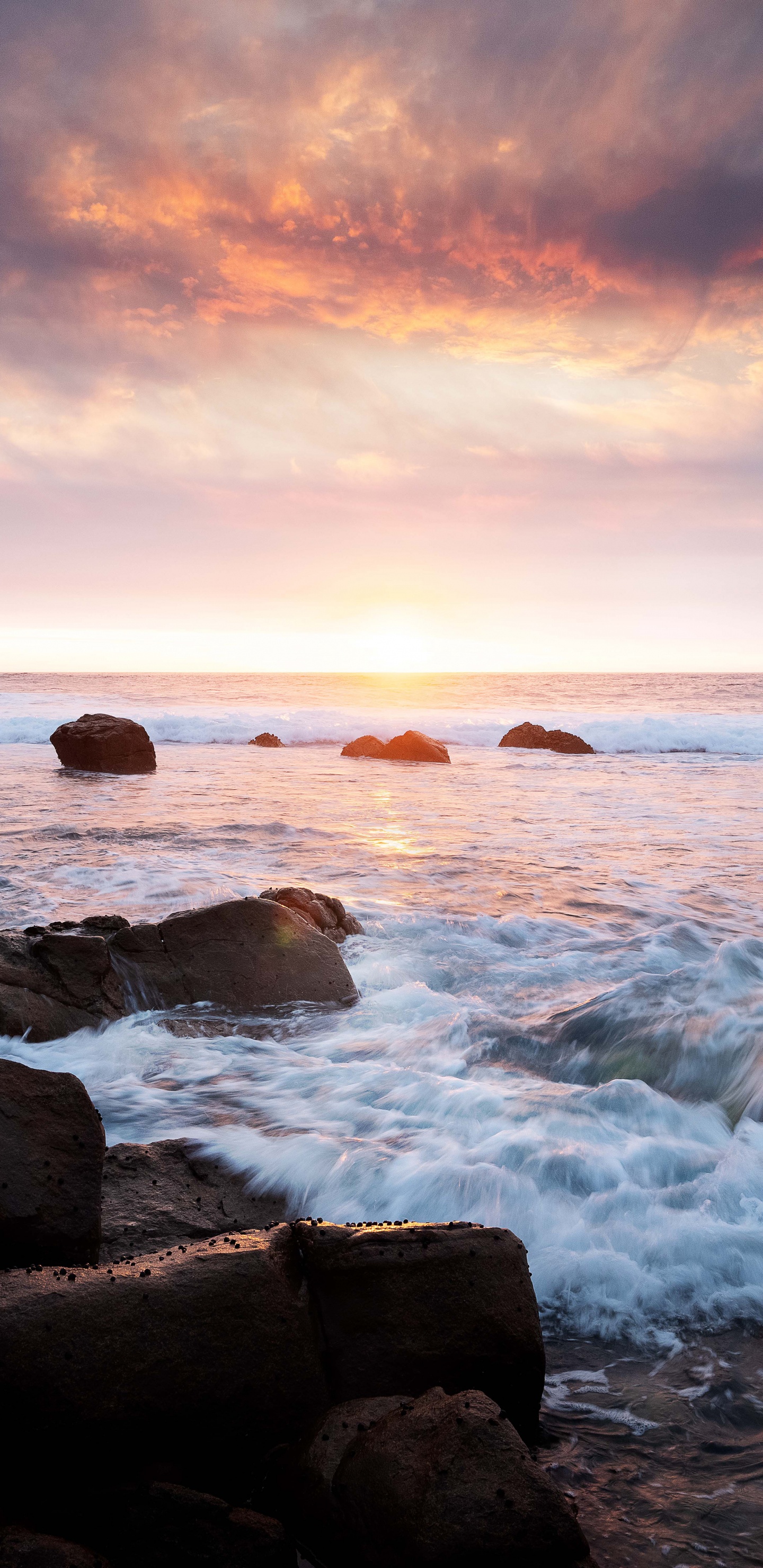 Plage du Trocadéro, Apple, Smartphone, Eau, Atmosphère. Wallpaper in 1440x2960 Resolution