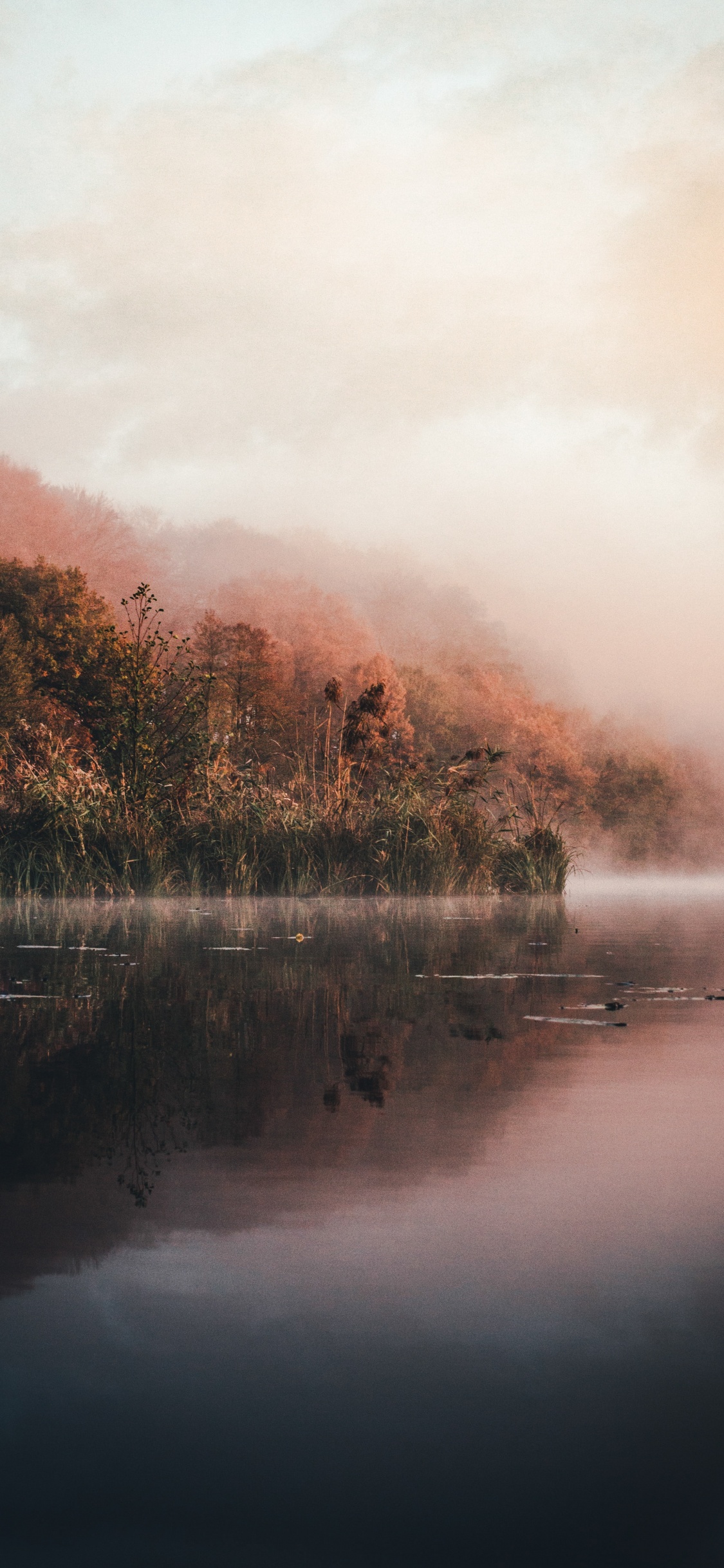 Agua, Naturaleza, la Luz Del Sol, Niebla, Loch. Wallpaper in 1125x2436 Resolution
