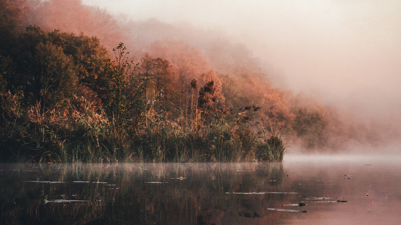 Eau, Nature, Loch, Matin, Réflexion. Wallpaper in 1366x768 Resolution