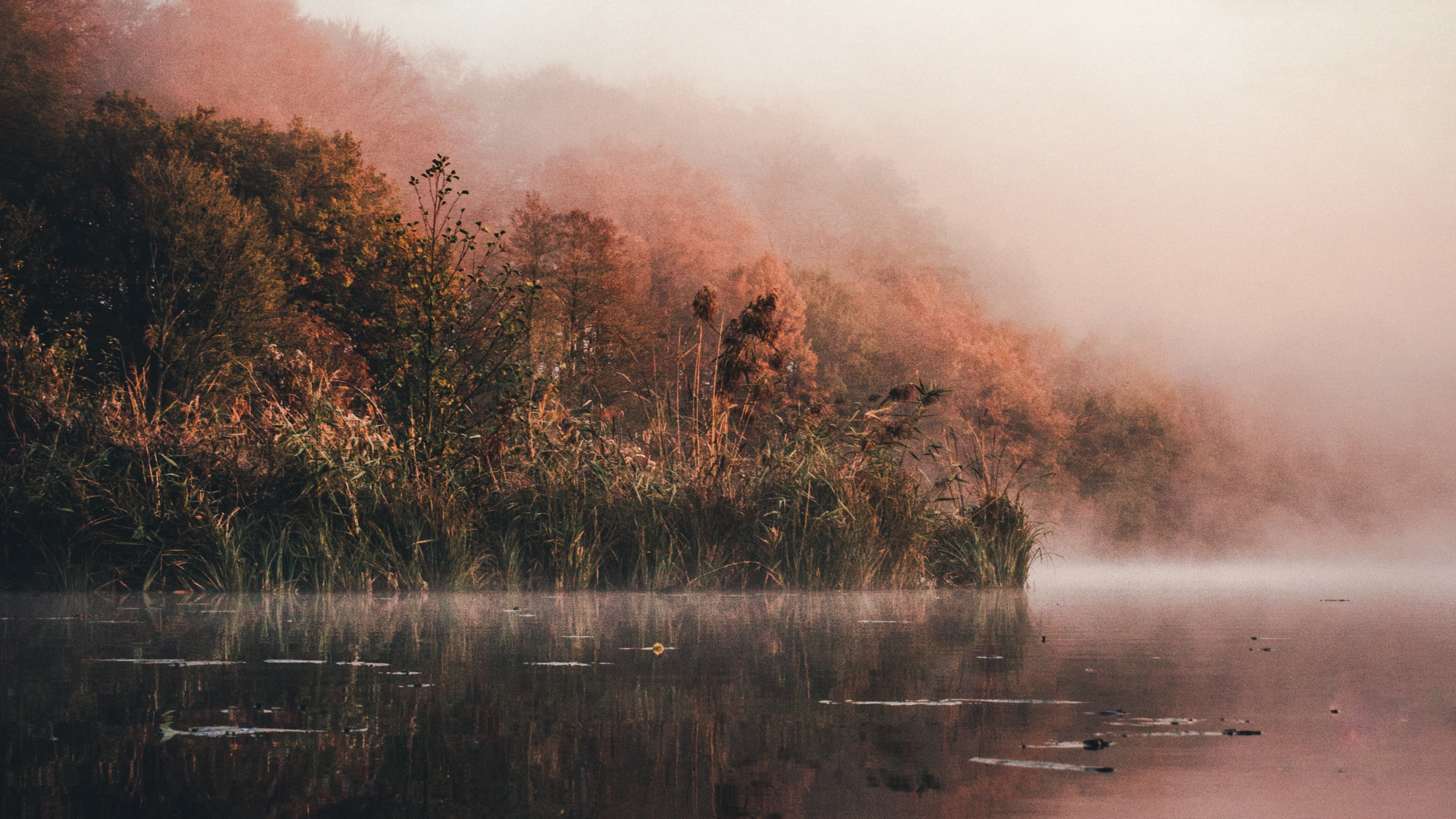 Wasser, Natur, Sonnenlicht, Loch, Morgen. Wallpaper in 2560x1440 Resolution