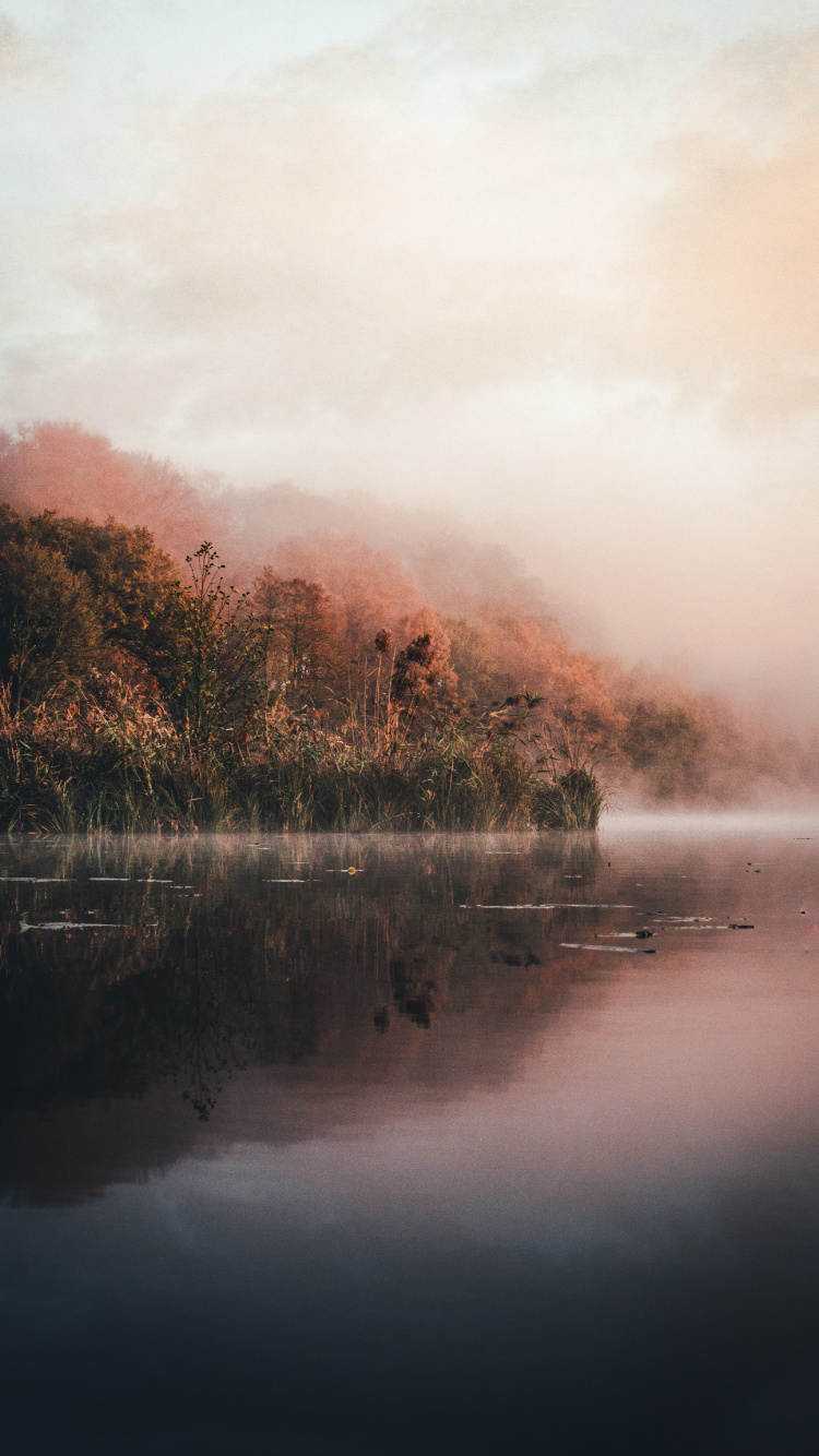 Wasser, Natur, Sonnenlicht, Loch, Morgen. Wallpaper in 750x1334 Resolution