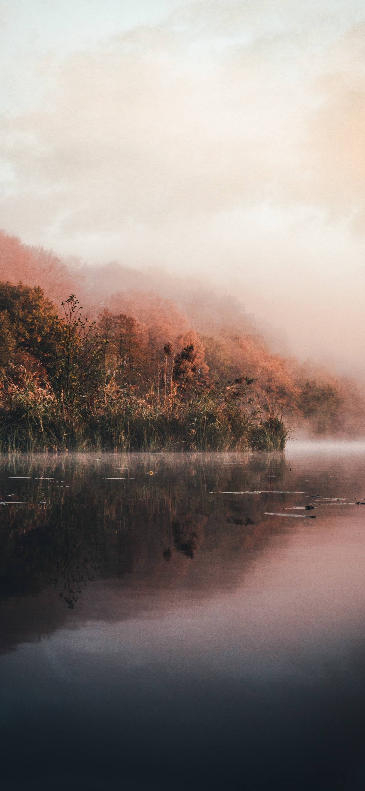 Water, Nature, Sunlight, Mist, Loch. Wallpaper in 1242x2688 Resolution
