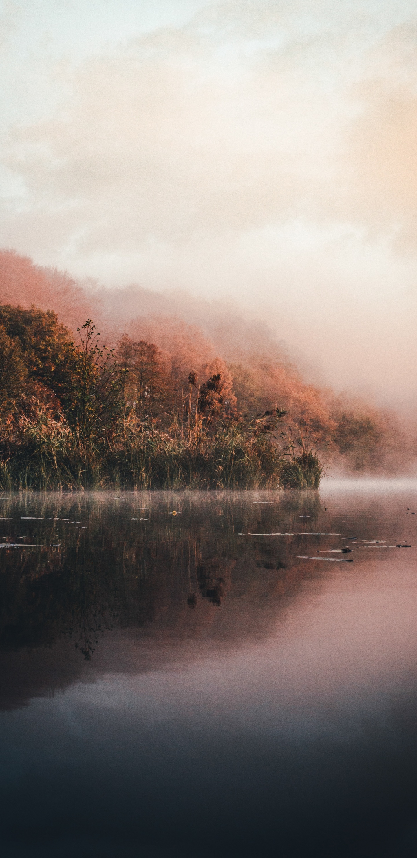 Water, Nature, Sunlight, Mist, Loch. Wallpaper in 1440x2960 Resolution