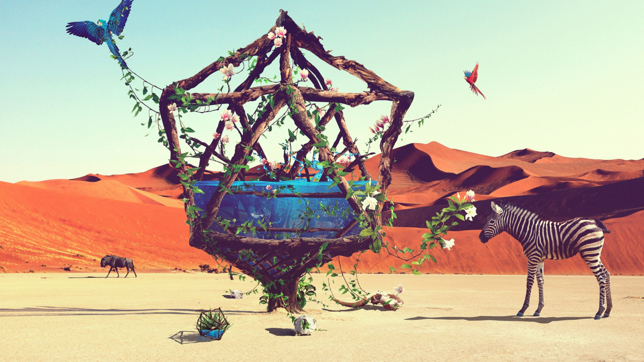 Barco de Madera Azul y Marrón Sobre Arena Marrón Durante el Día. Wallpaper in 1280x720 Resolution