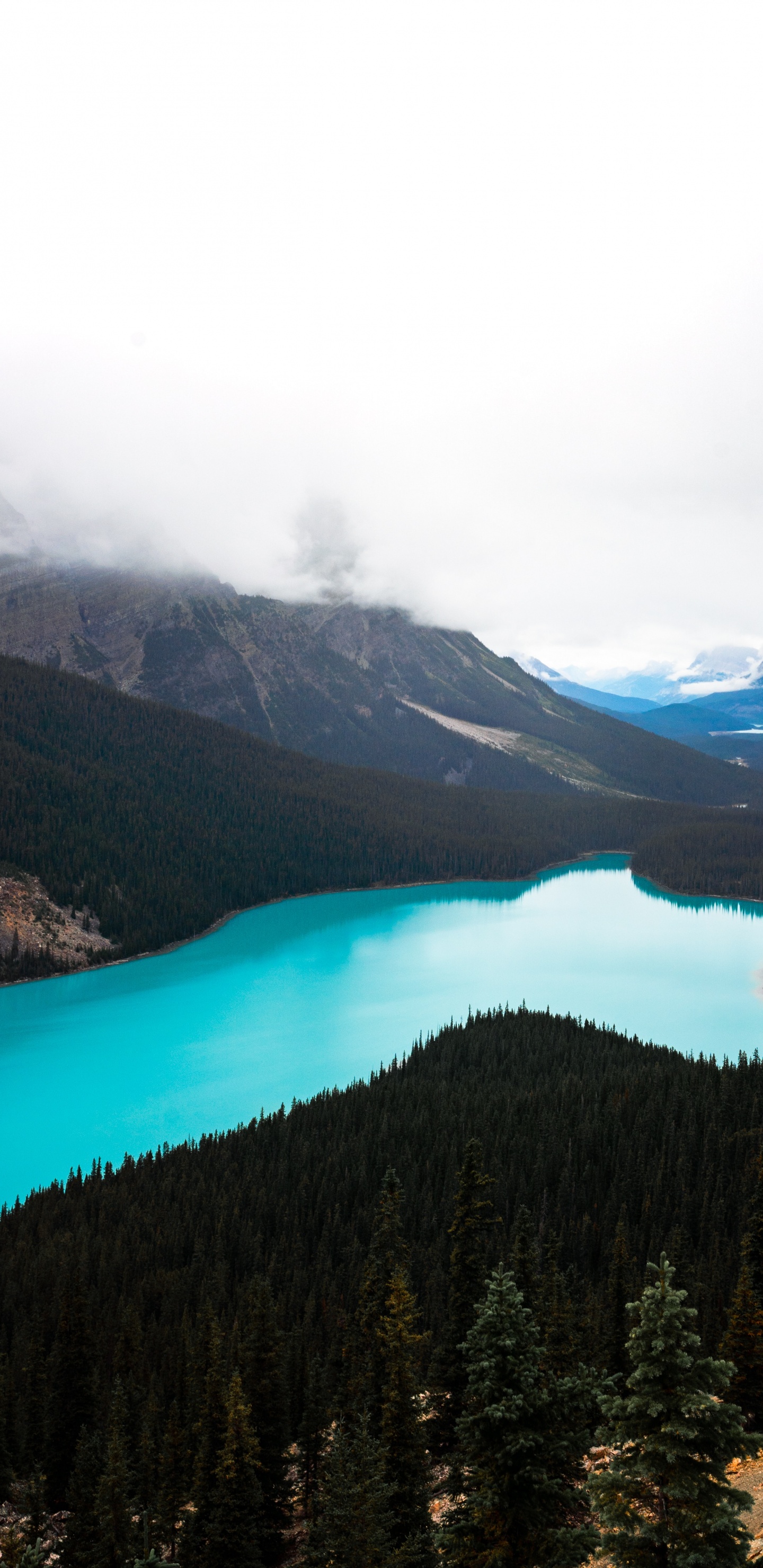 Lago, Banff, Desierto, Las Formaciones Montañosas, Parque. Wallpaper in 1440x2960 Resolution