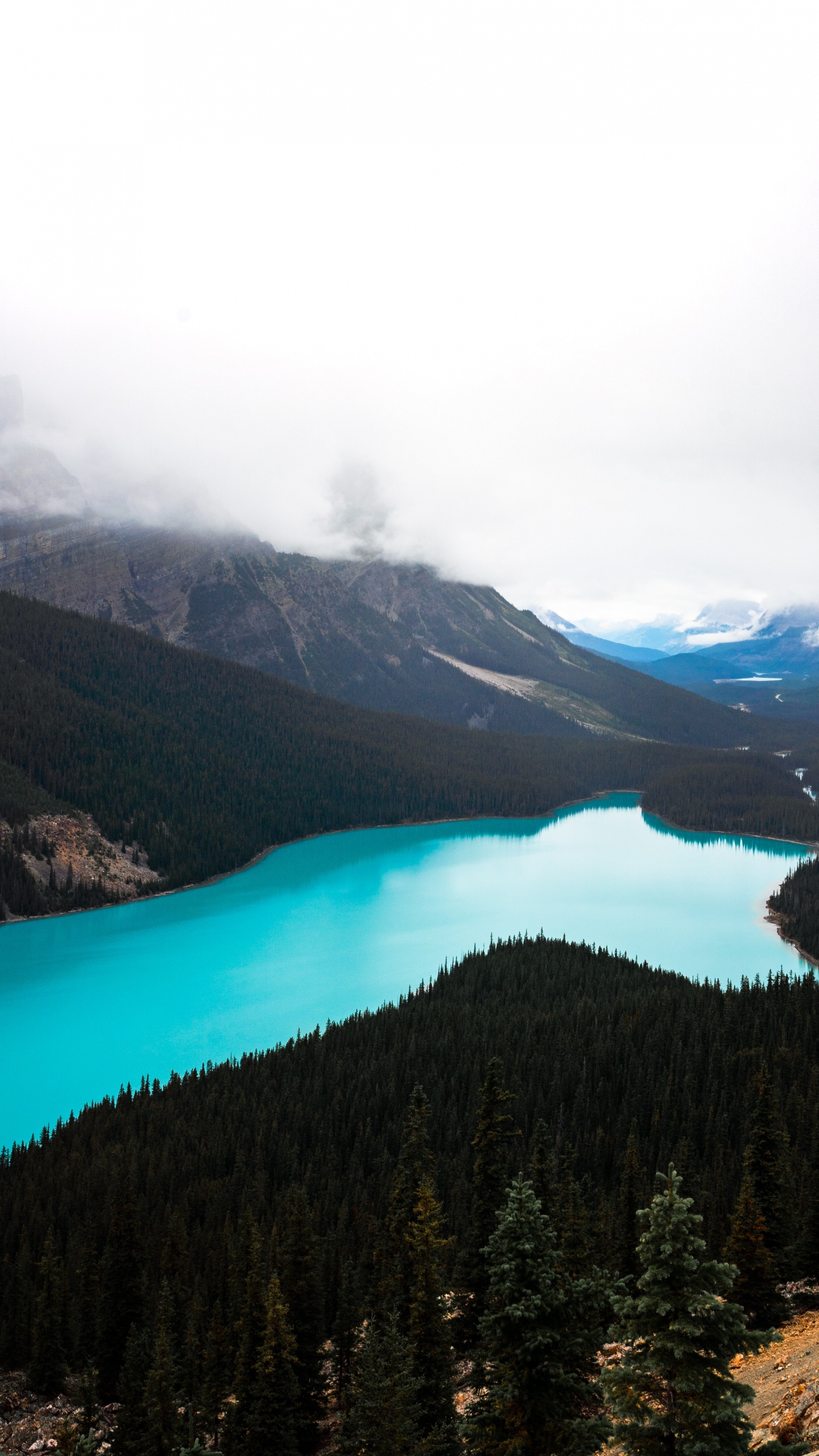 Icefields Parkway, Lake, Banff, Wilderness, Mountainous Landforms. Wallpaper in 1440x2560 Resolution