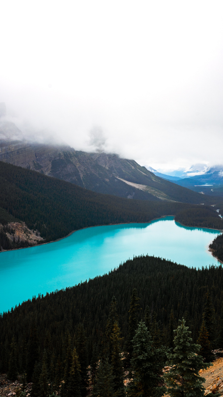 Icefields Parkway, Lake, Banff, Wilderness, Mountainous Landforms. Wallpaper in 750x1334 Resolution