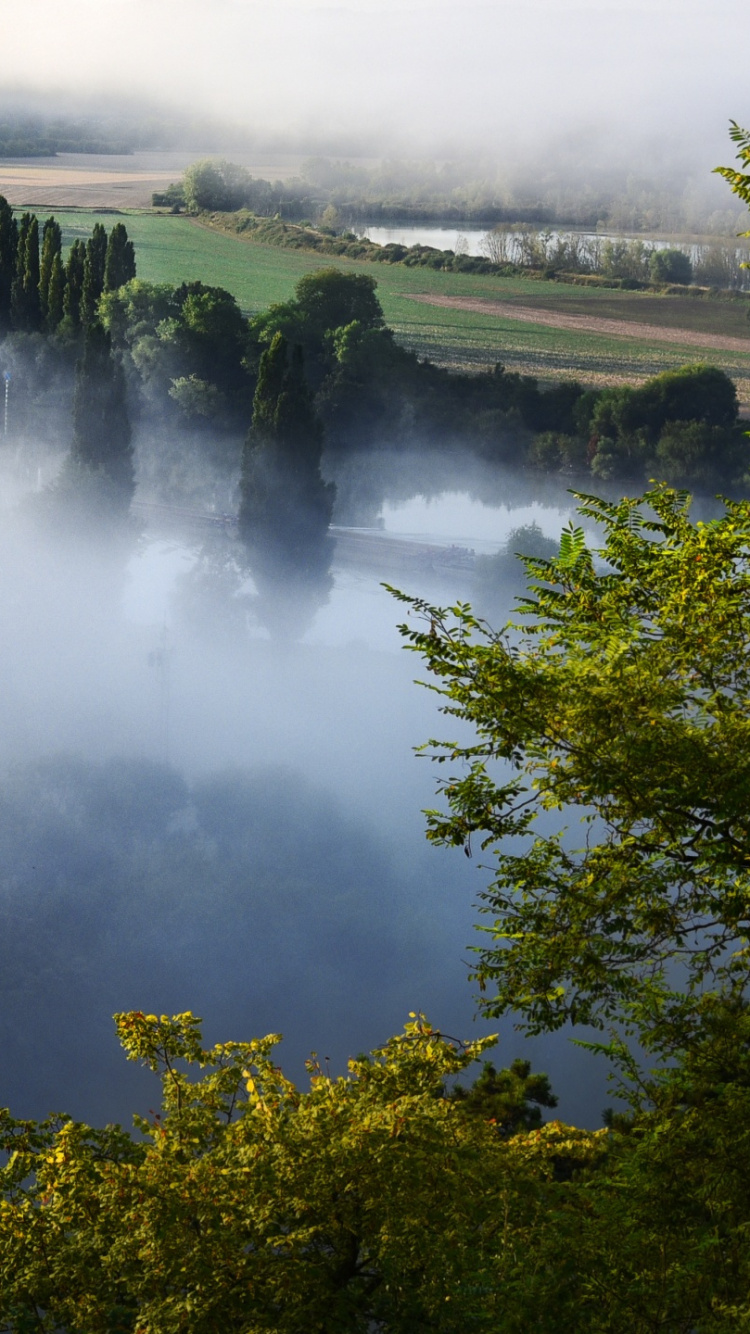 Grüne Bäume in Der Nähe Von Gewässern Tagsüber Water. Wallpaper in 750x1334 Resolution