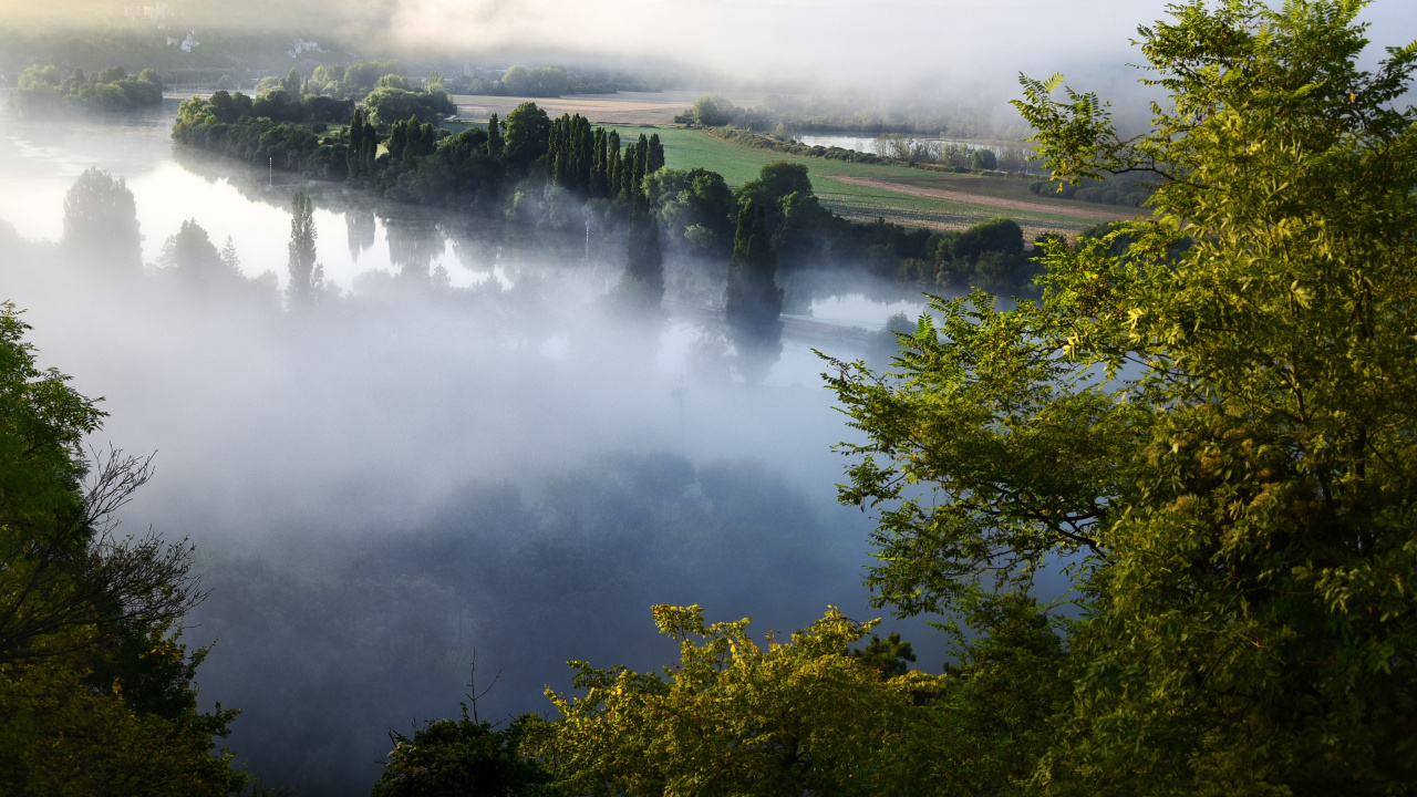 Green Trees Near Body of Water During Daytime. Wallpaper in 1280x720 Resolution