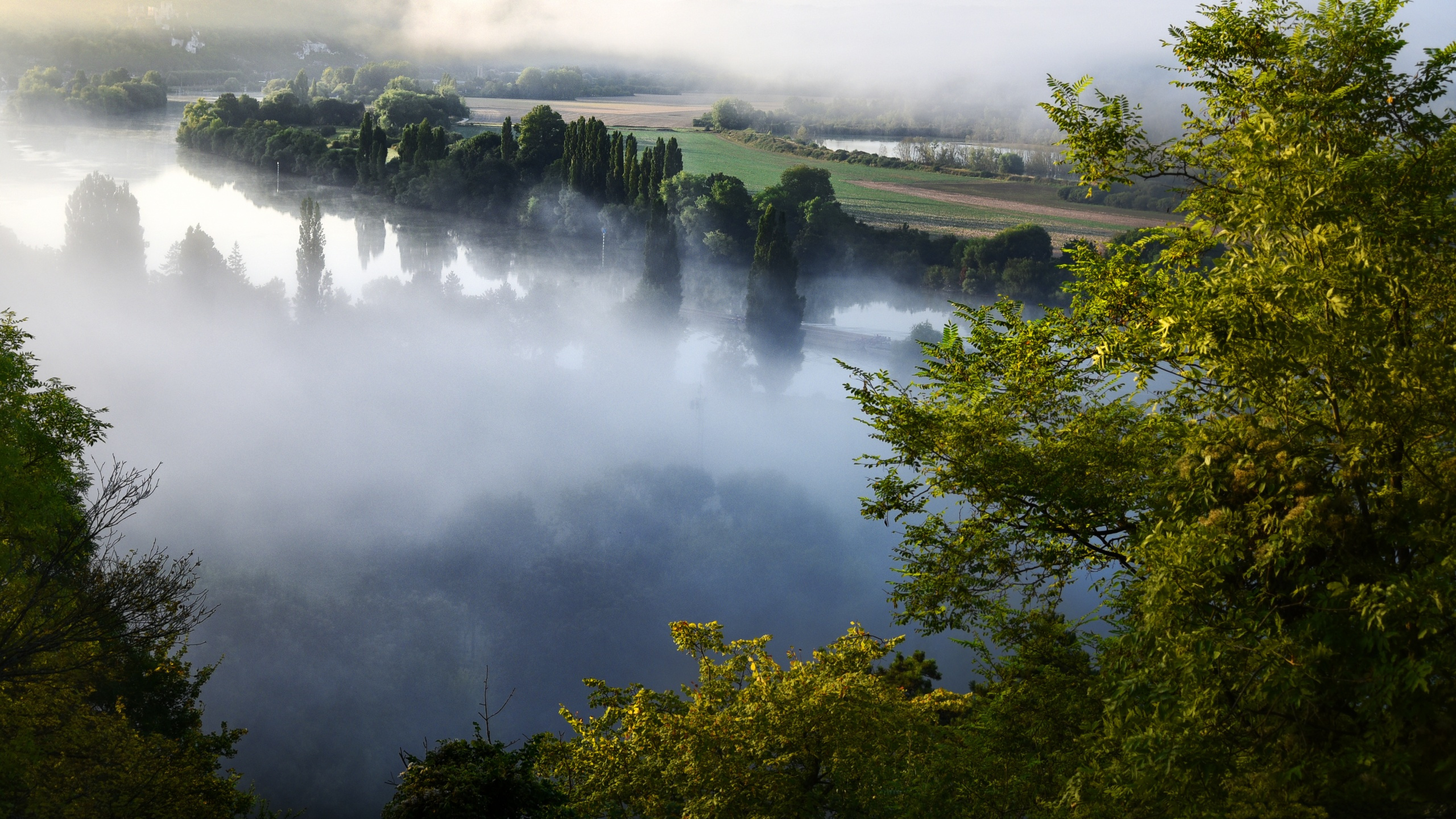 Green Trees Near Body of Water During Daytime. Wallpaper in 2560x1440 Resolution