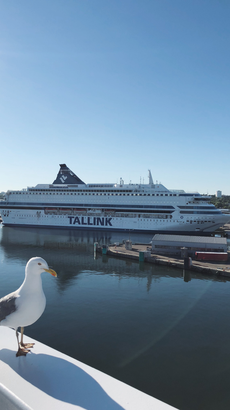Agua, Crucero, Ferry, Barco de Motor, Yate. Wallpaper in 750x1334 Resolution